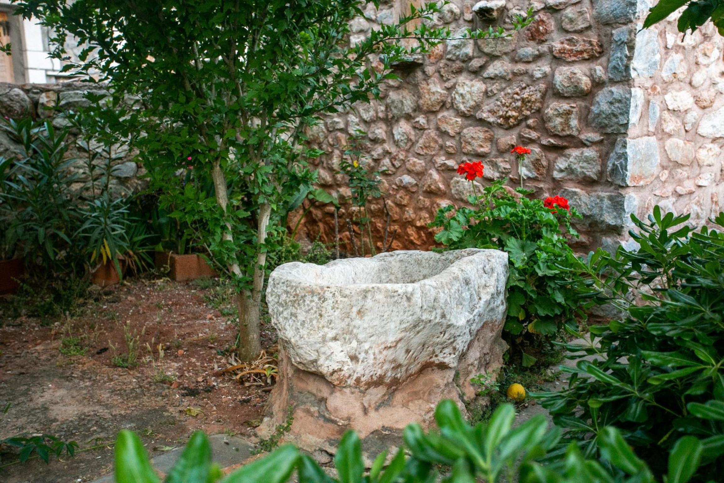 Photo 16
