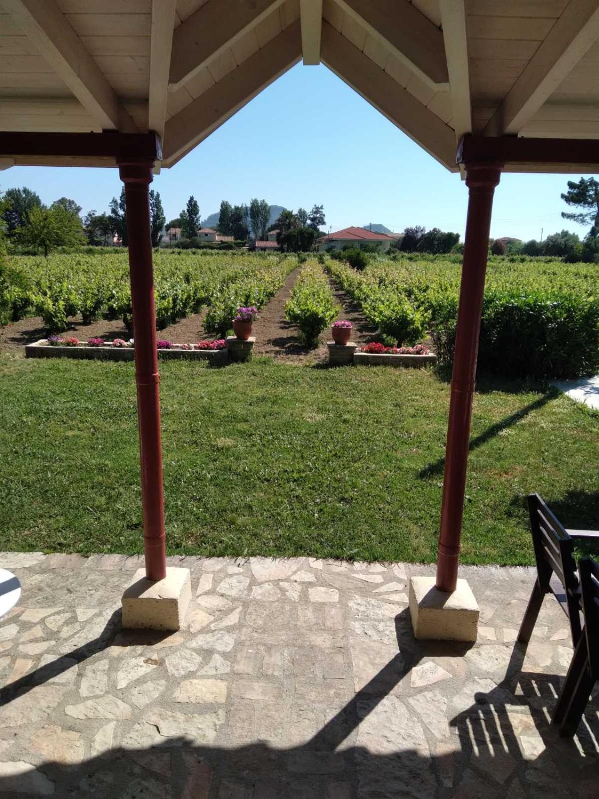 Photo 8