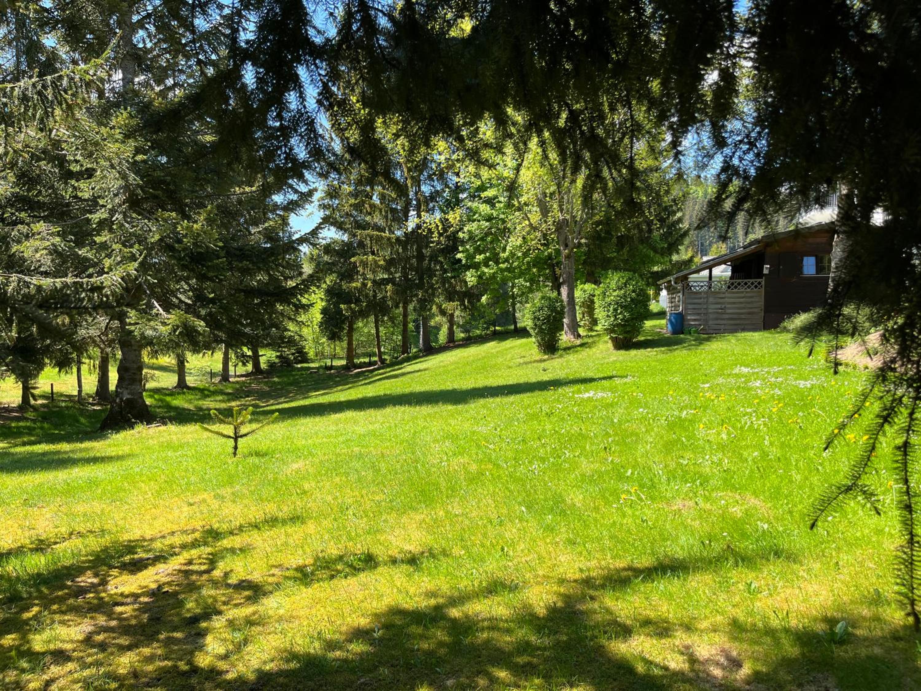 Photo 22