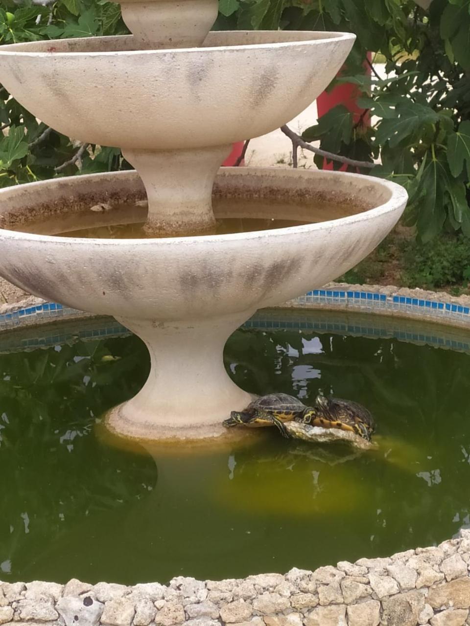 Photo 41