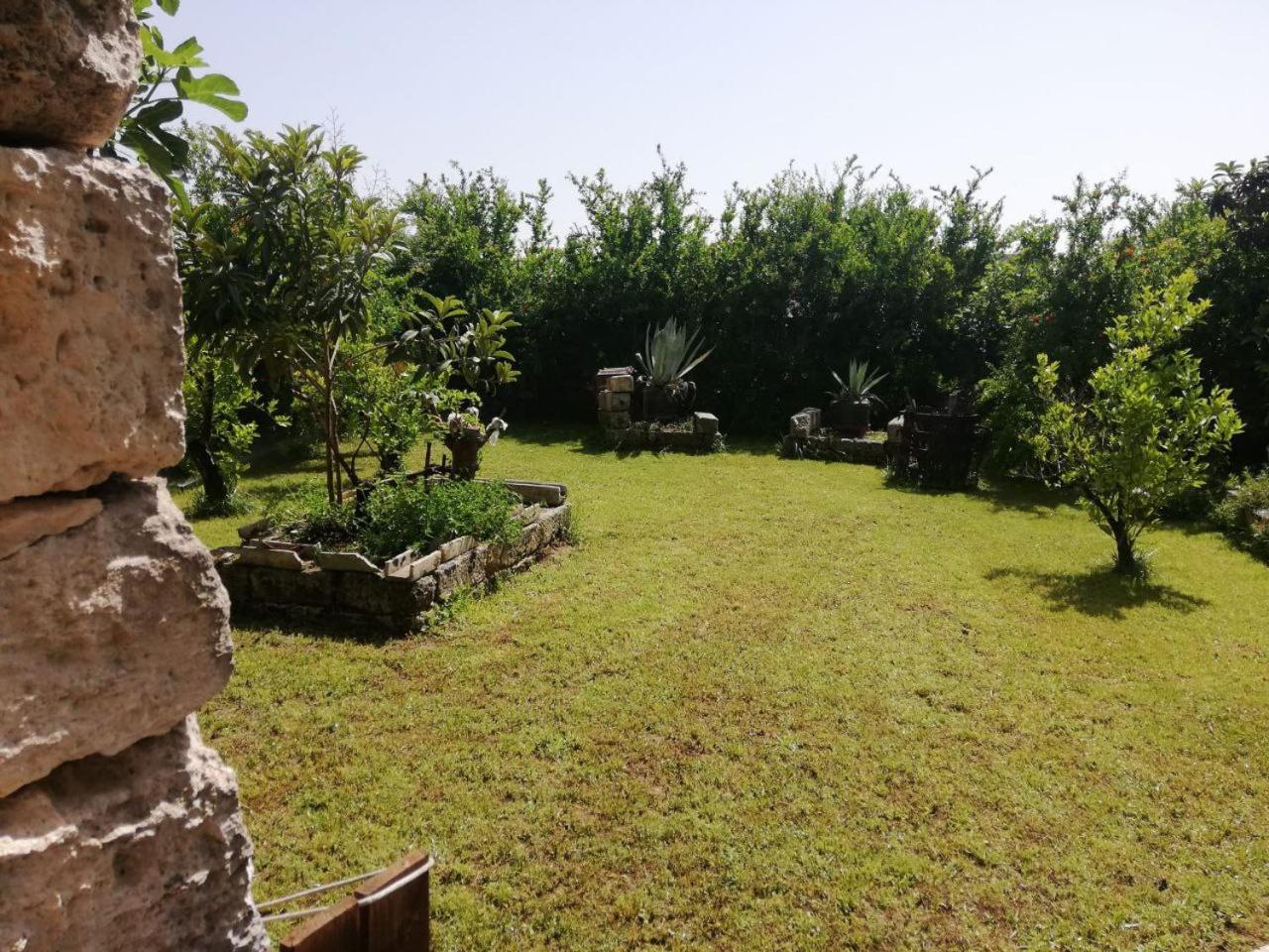 Photo 40