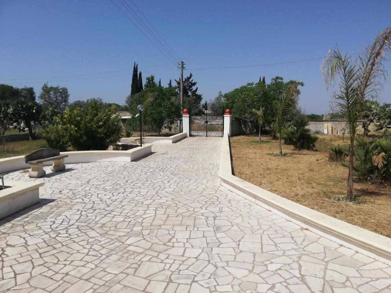 Photo 47