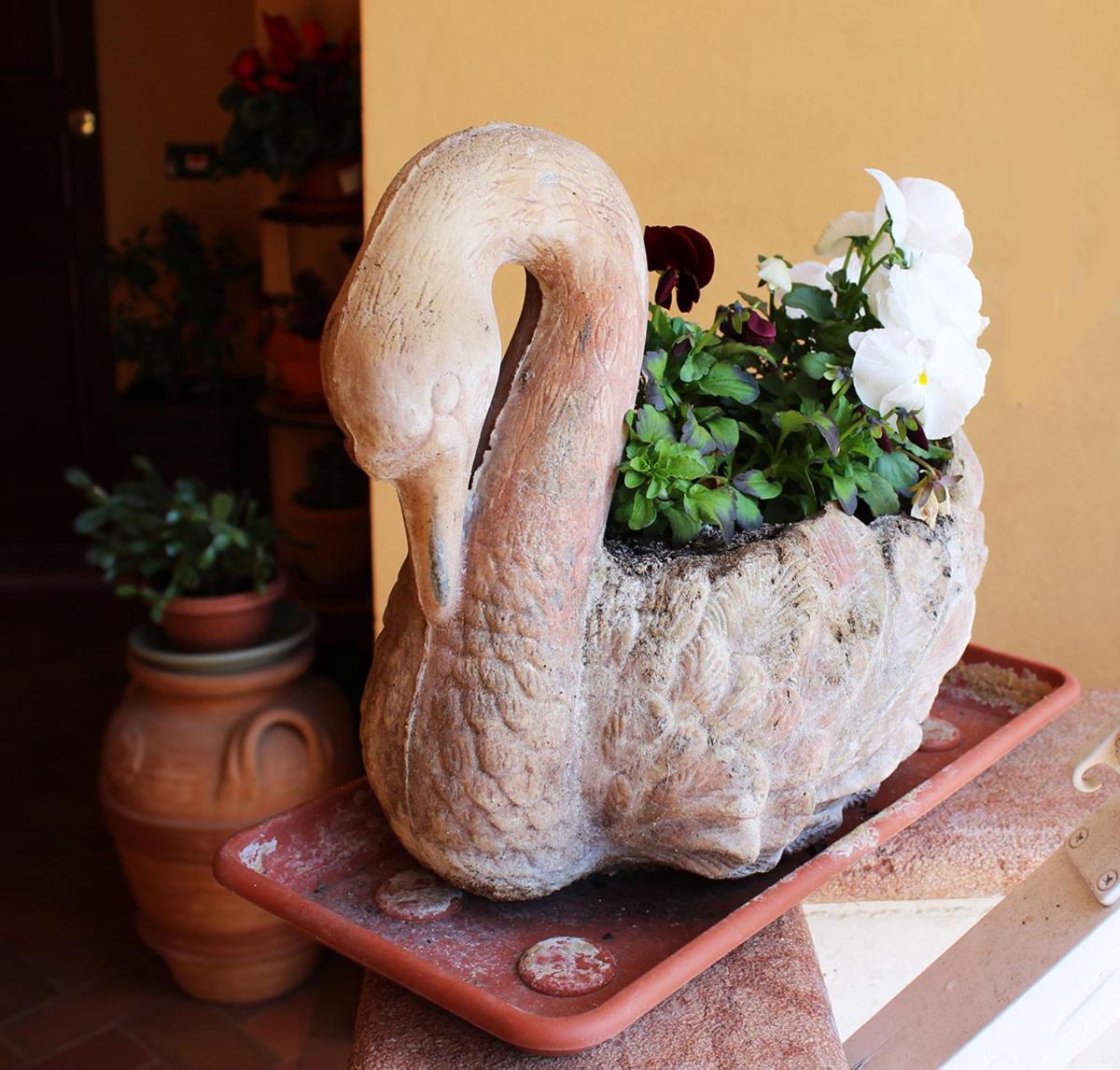 La Mammola Bed&Breakfast