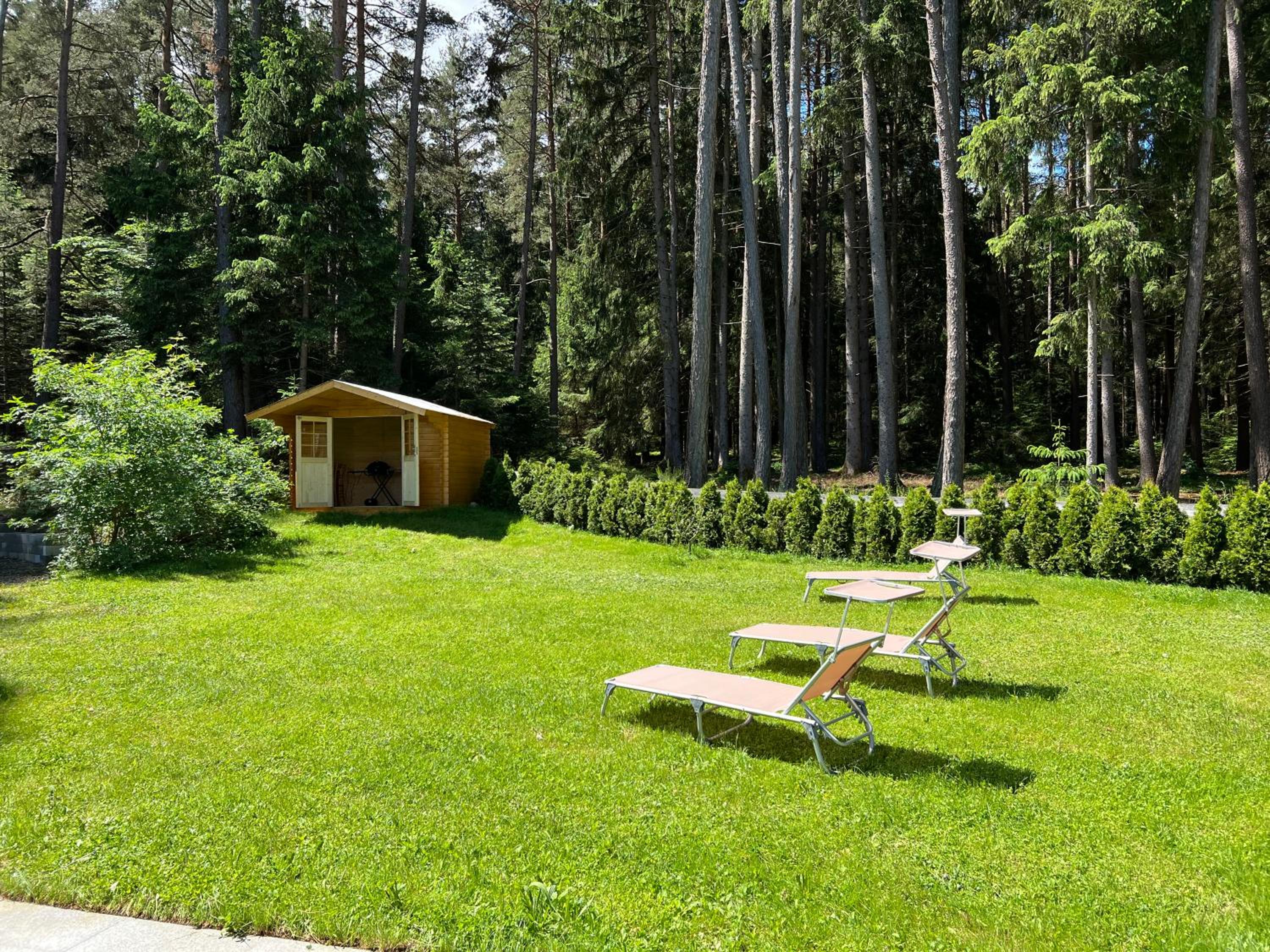 Waldchalet am Eichhof view 2