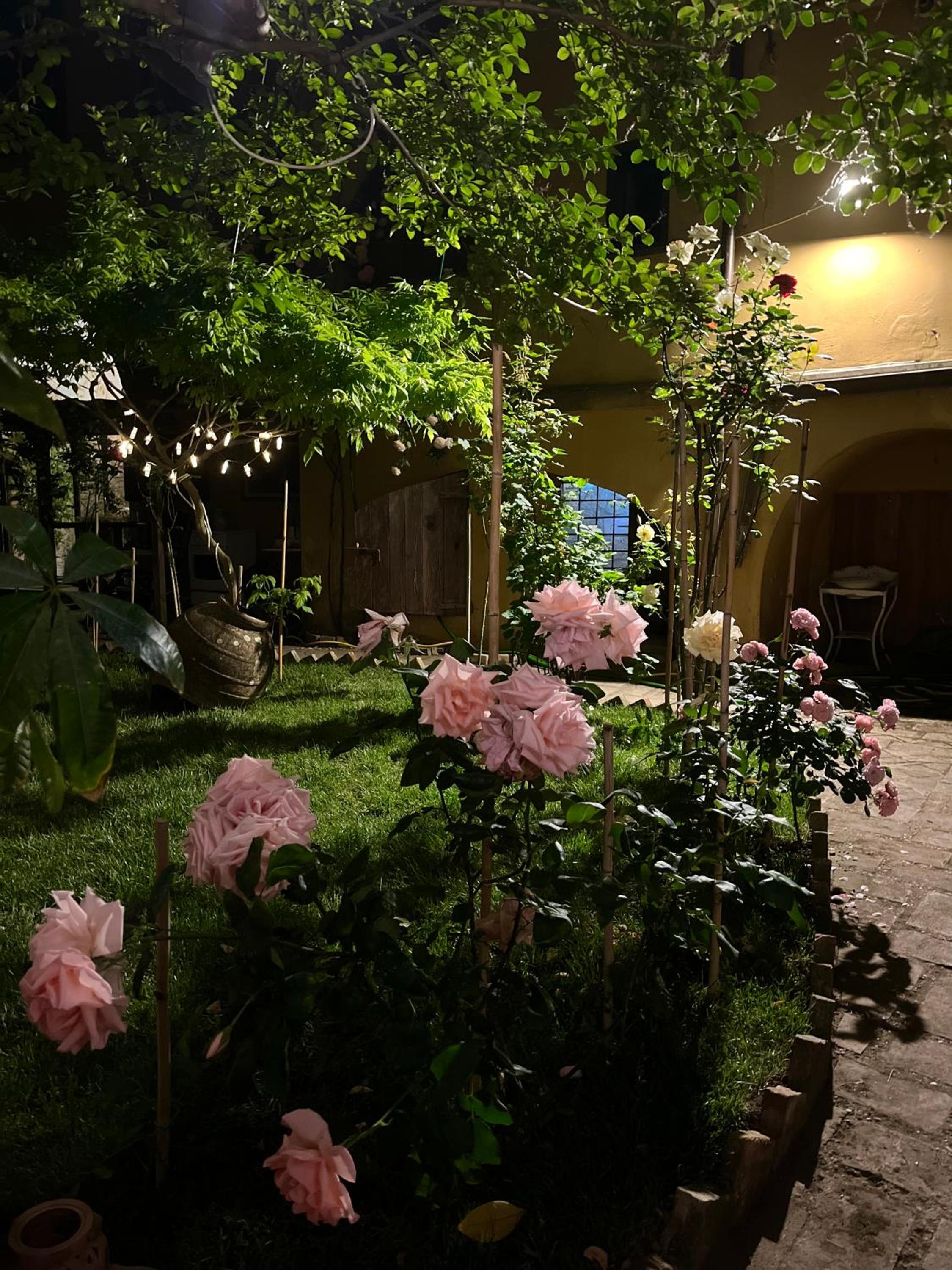 Photo 37