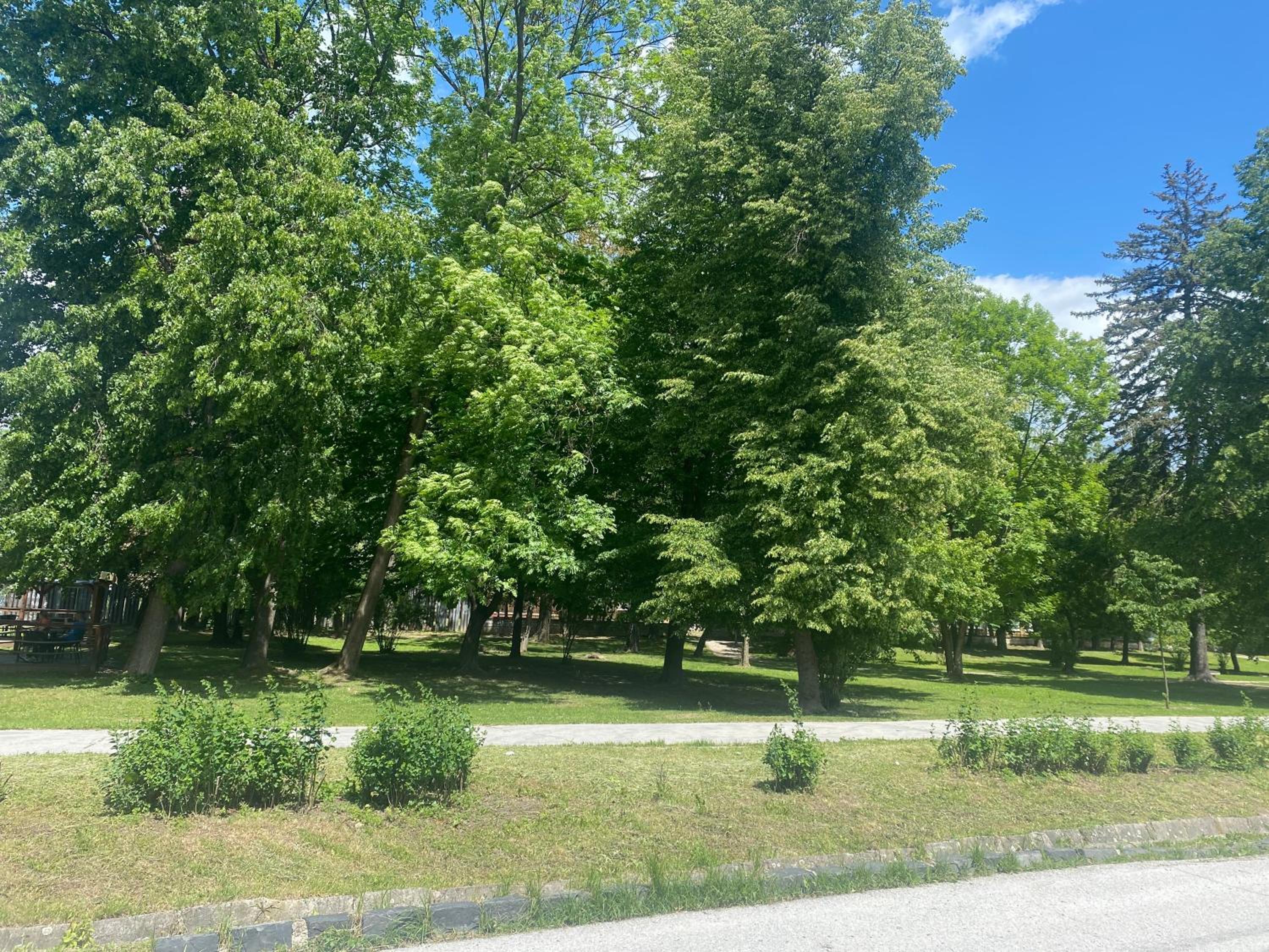 Photo 27