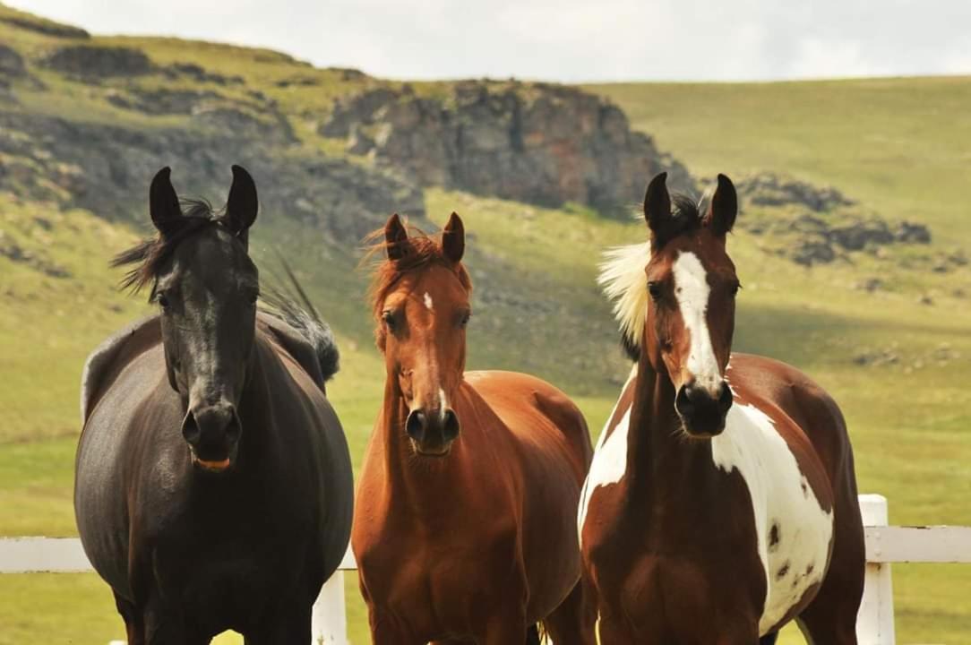 Dunkeld Country & Equestrian Estate