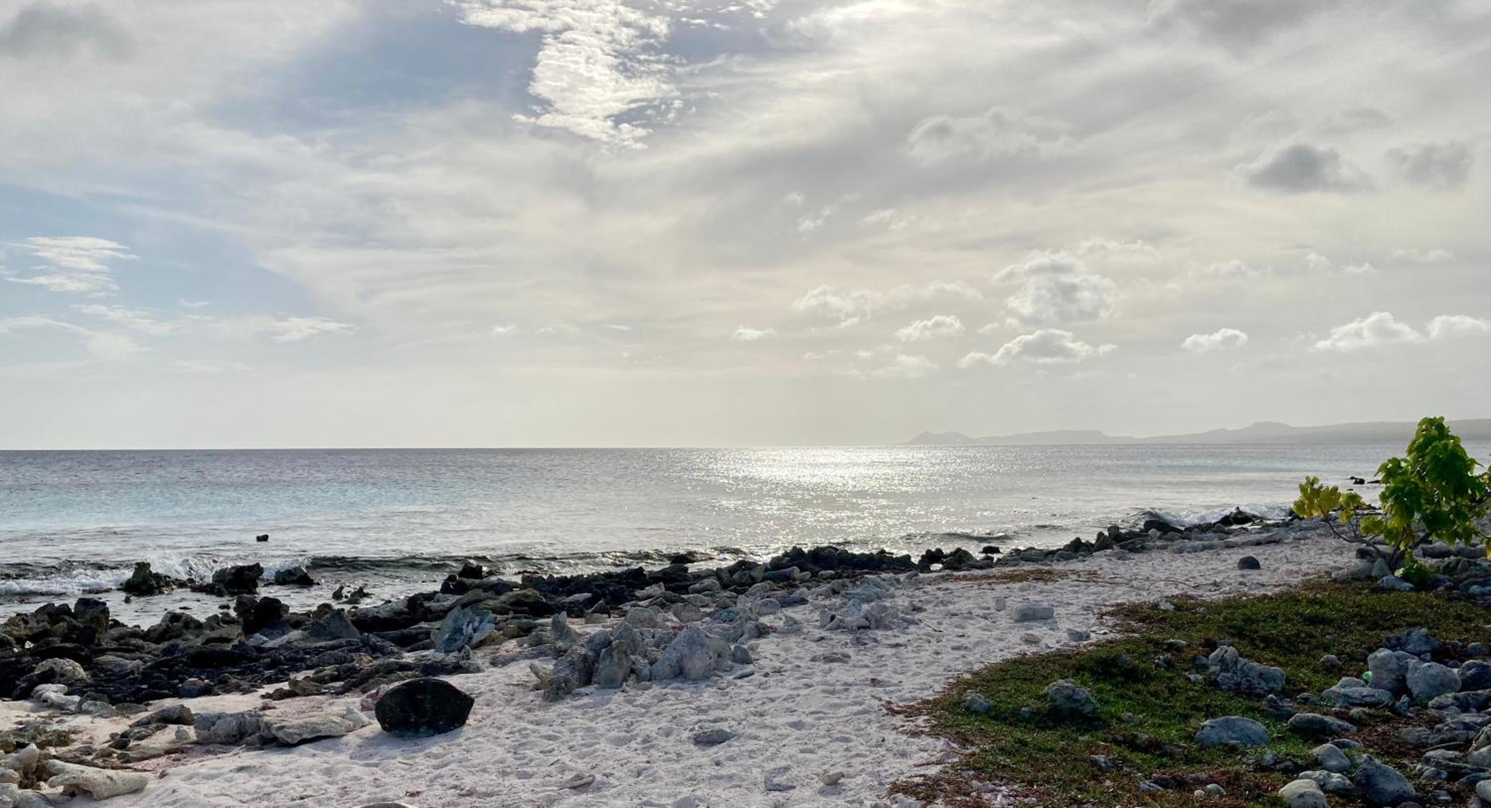 Hakuna Matata Bonaire - Beach & Diving