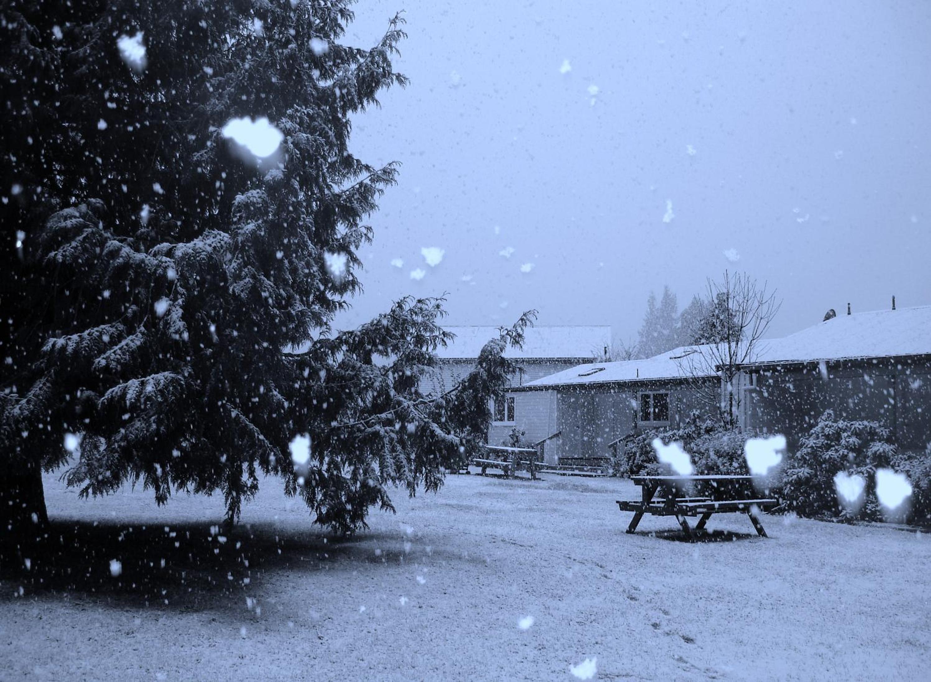Alpine Holiday Apartments & Campground