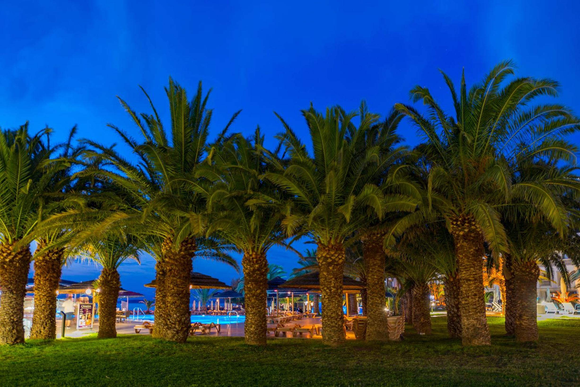 Samara Hotel Bodrum Ultra All Inclusive — photo 190