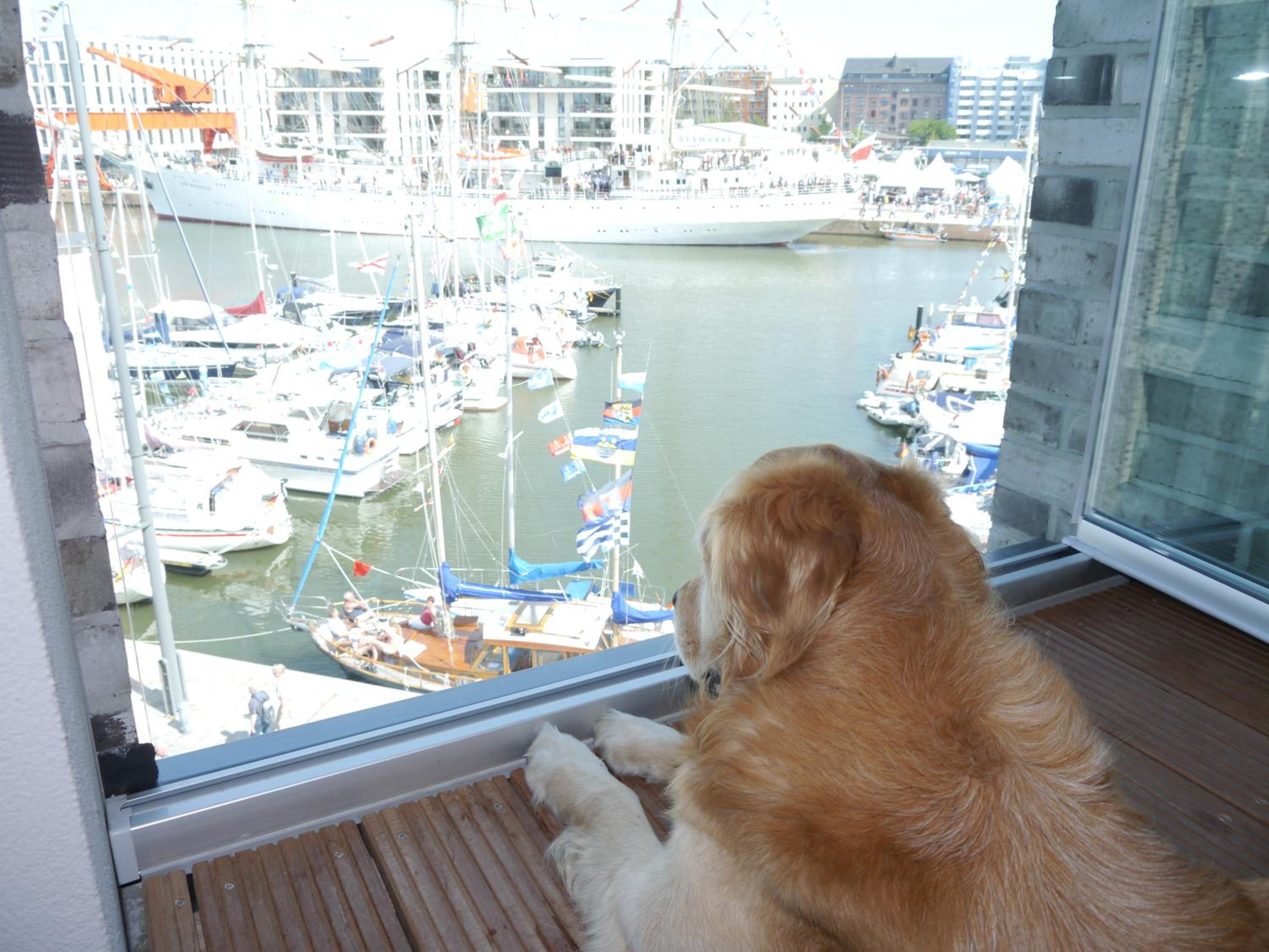 NewPort Weser, NewPort Marina