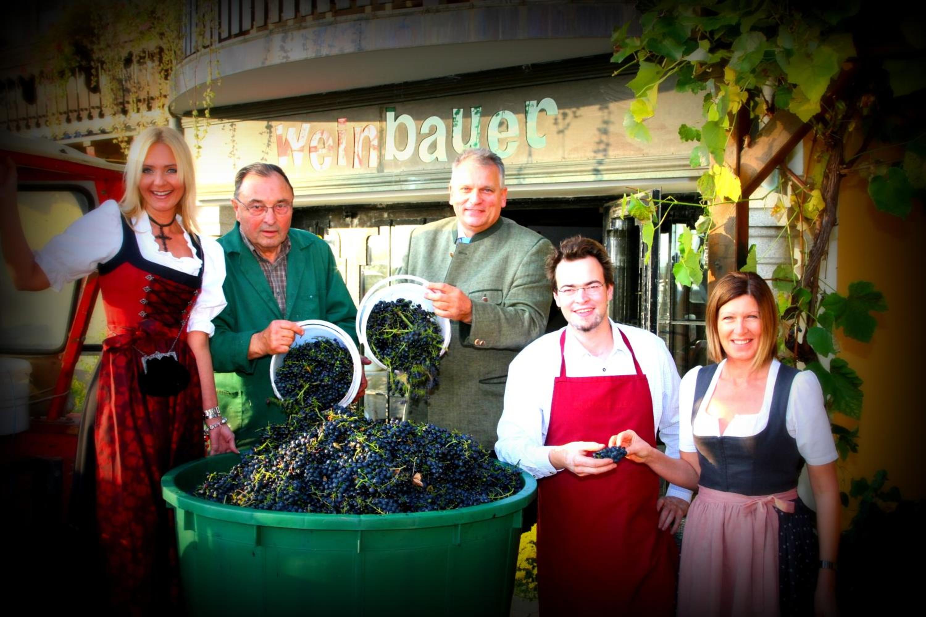 Pension Weinbauer