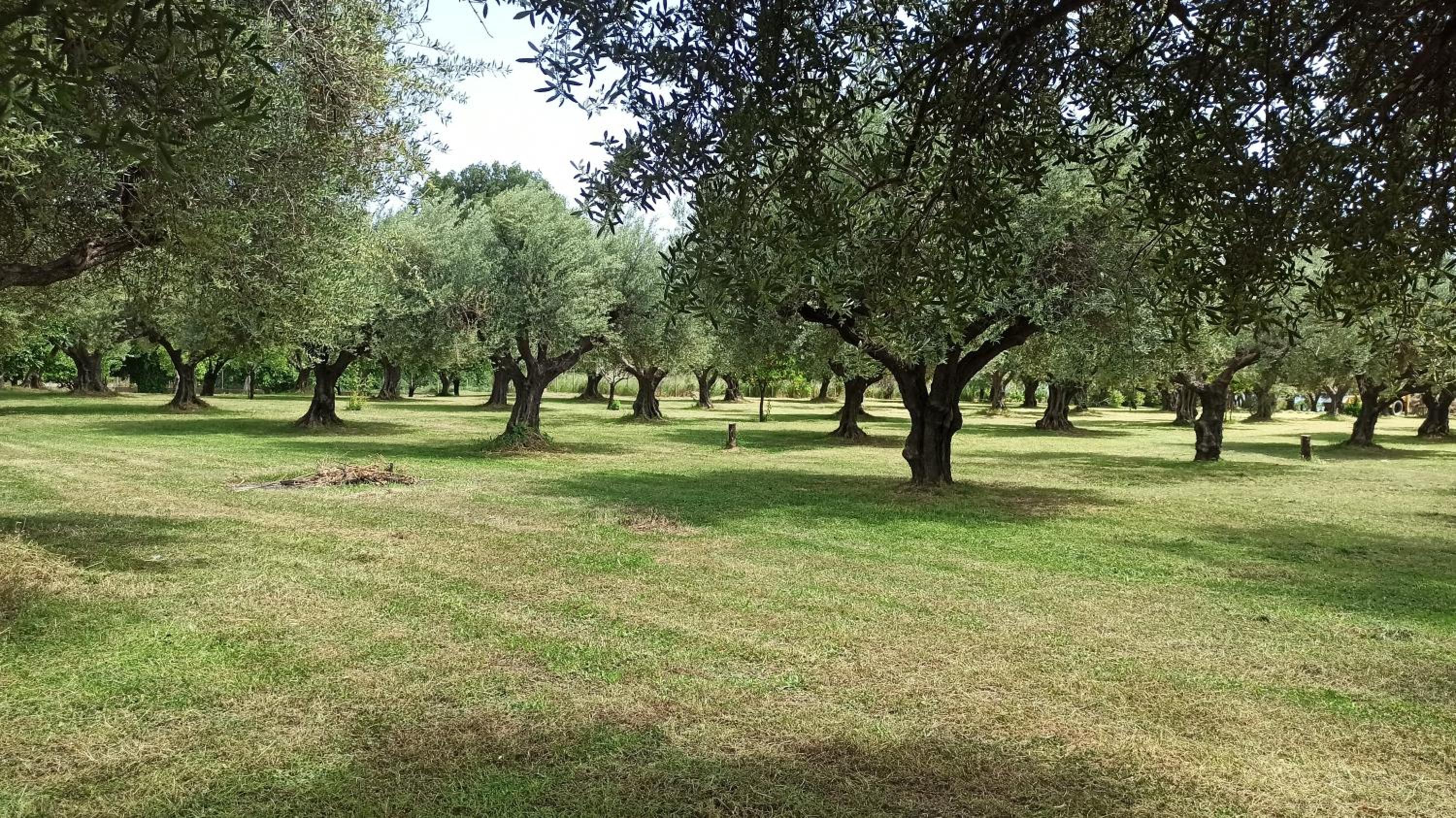 Nafpaktos cottage by the sea for travelers and dreamers! photo 4