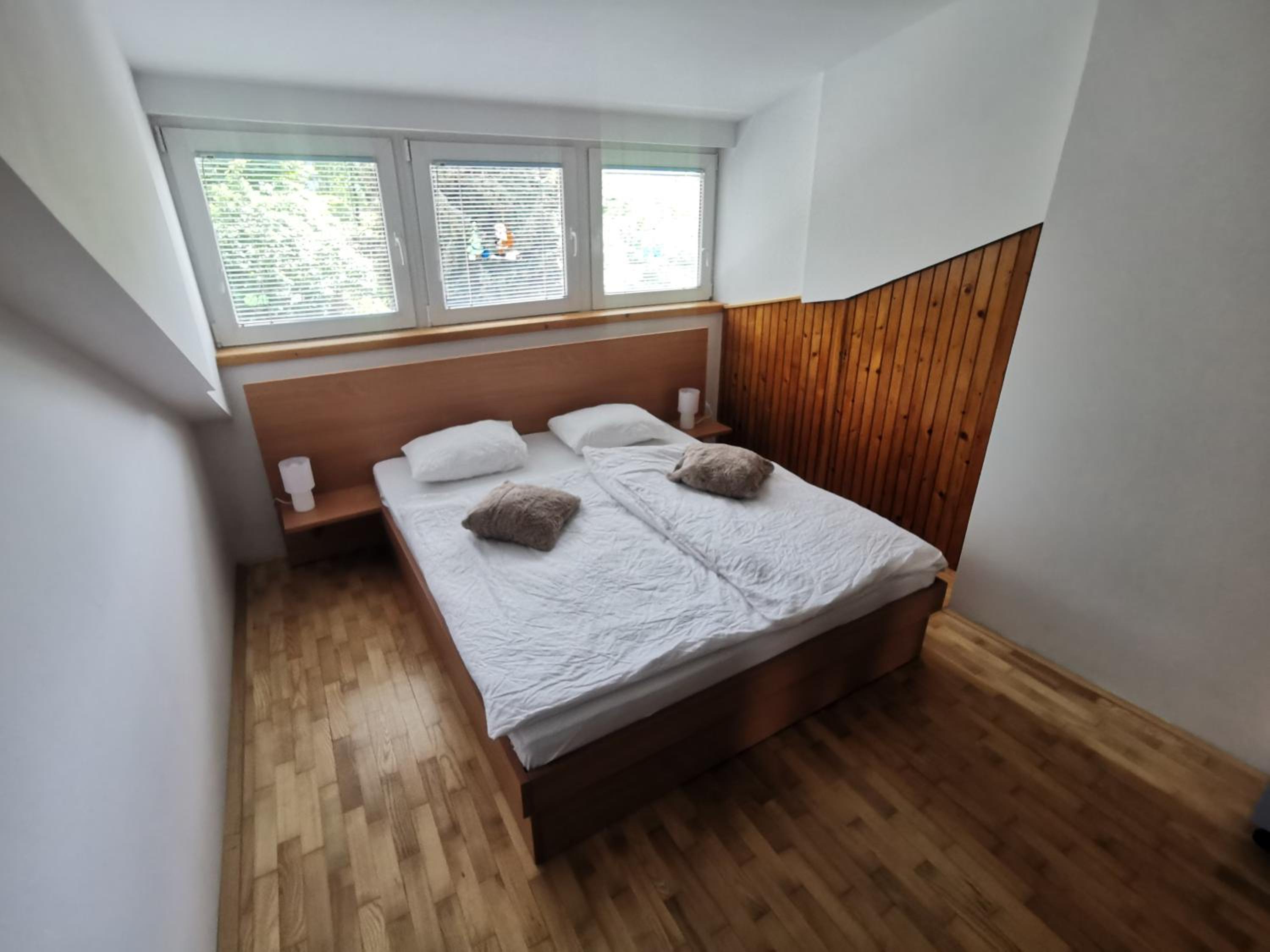 Apartment LakeBled with Casle Bled view