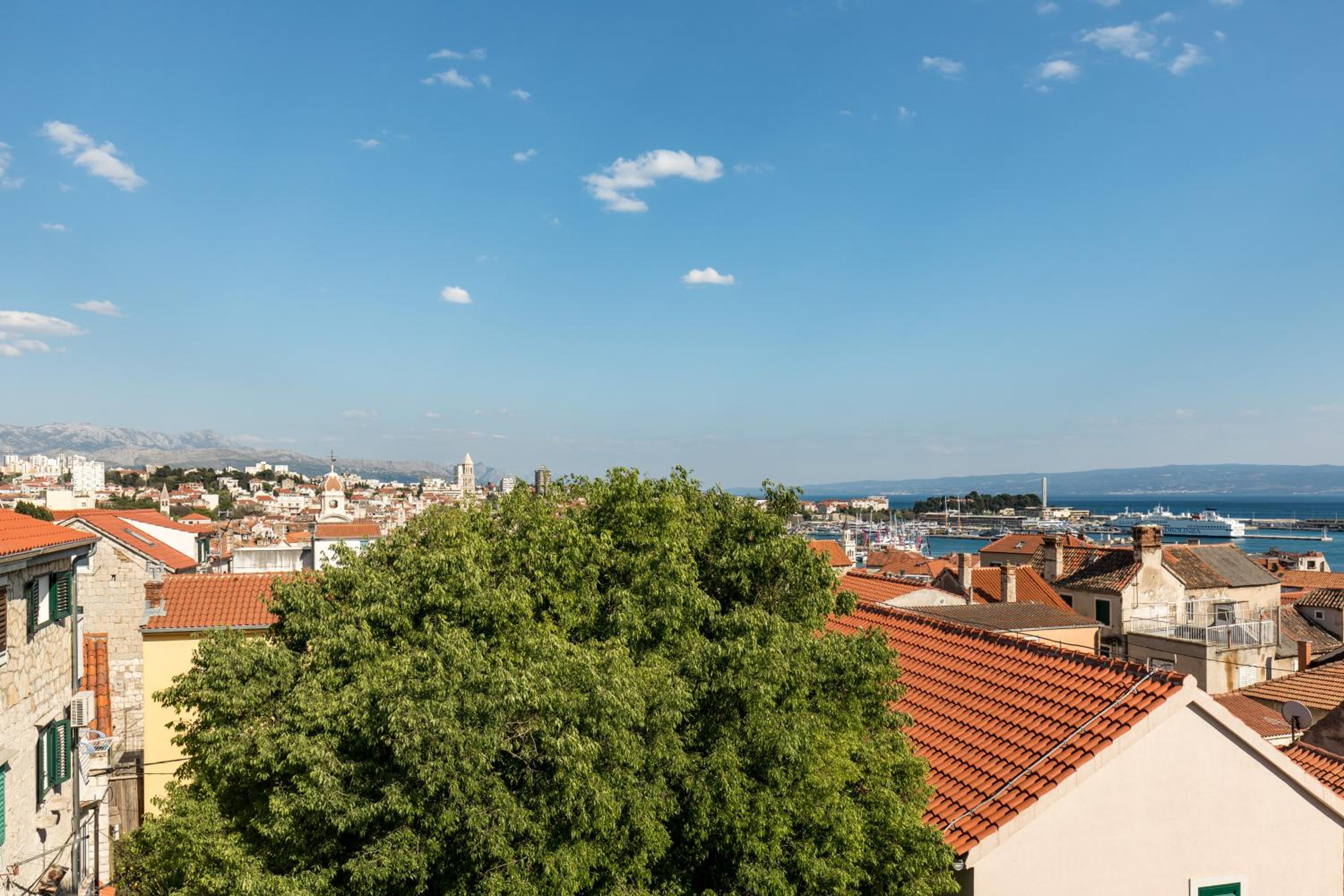 Photo 72