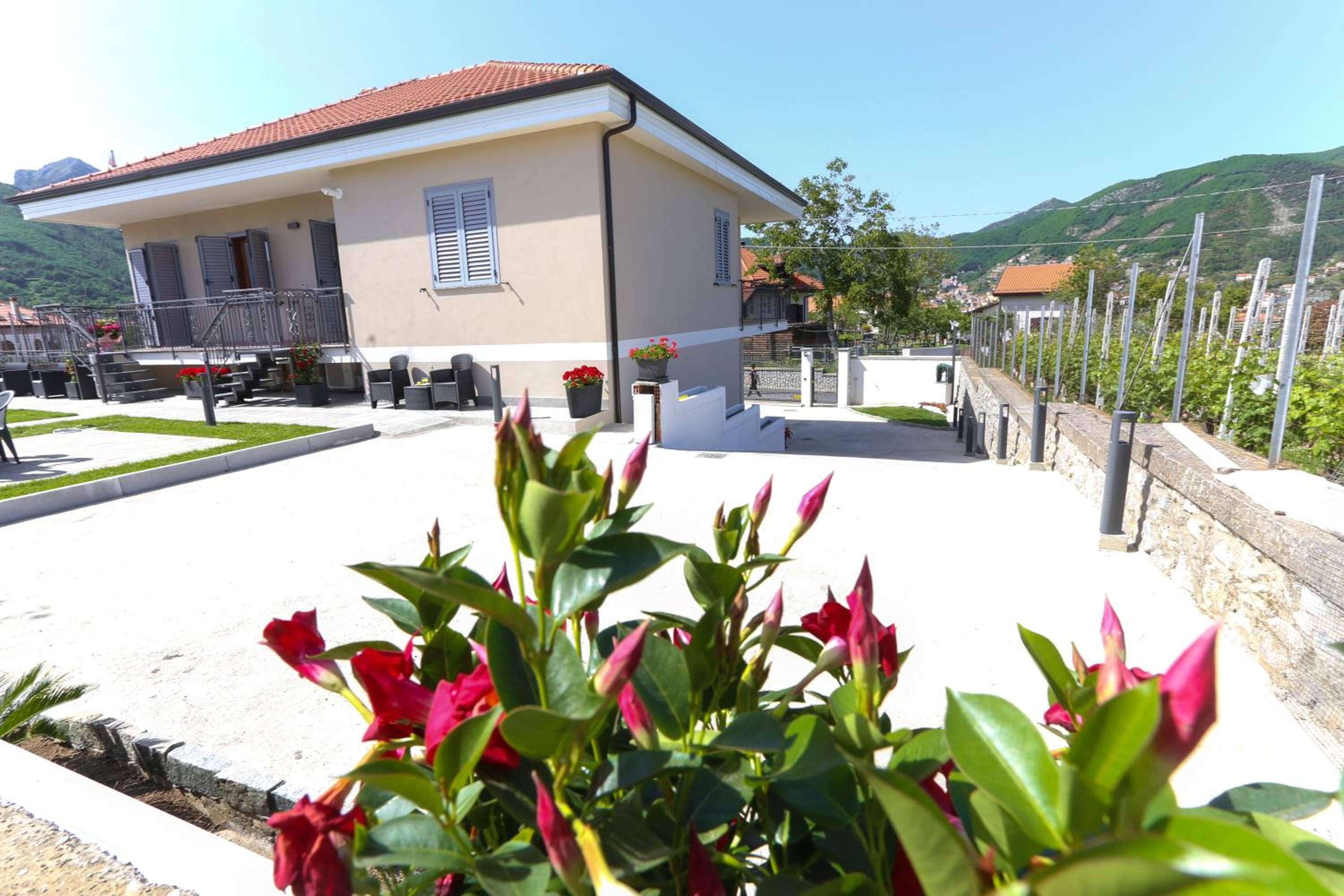 Il Violino degli Dei Holiday House