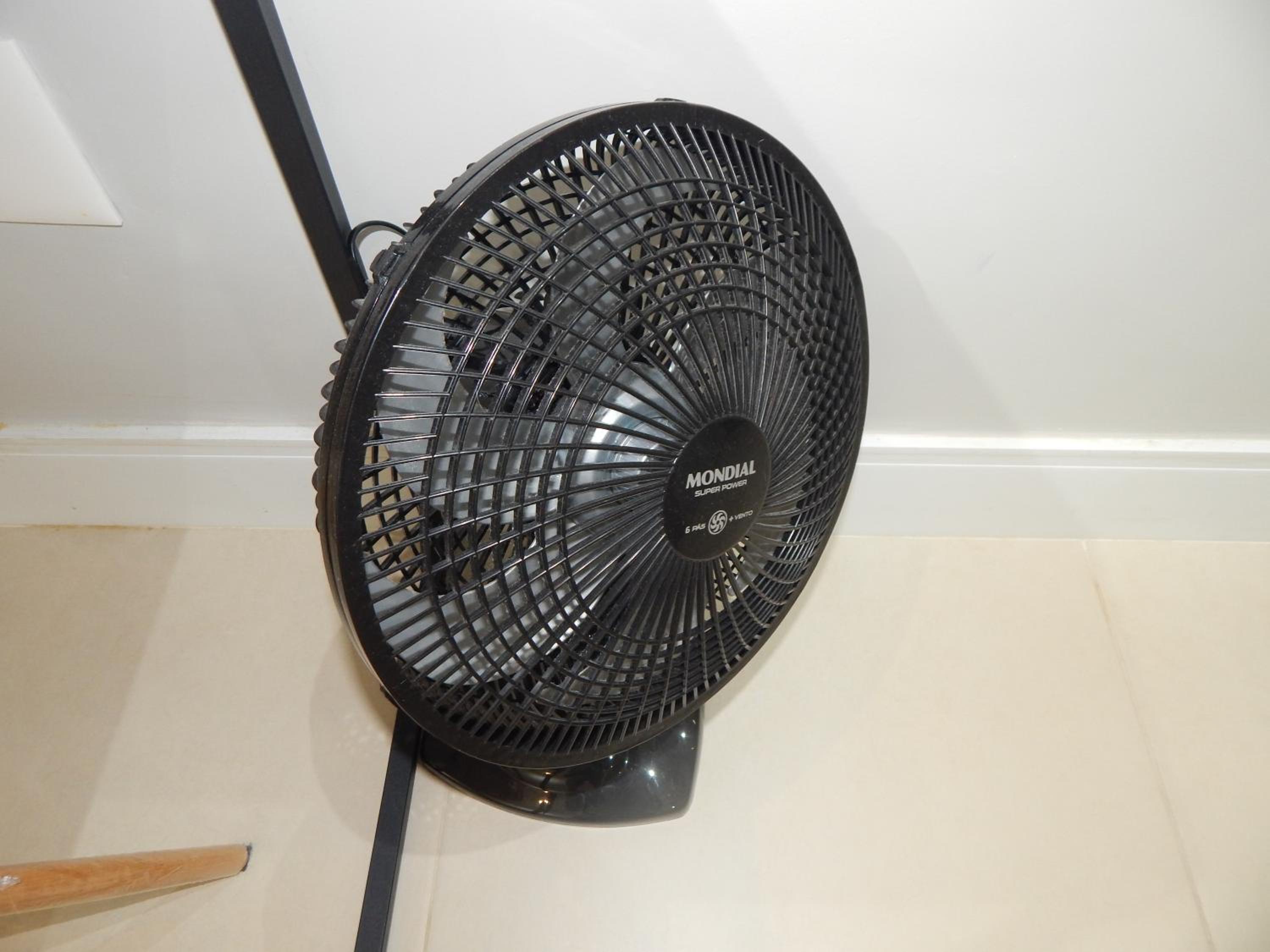 Photo 41