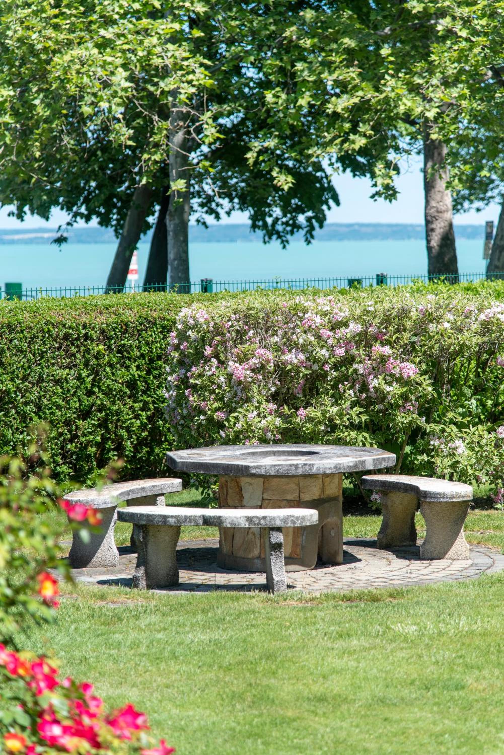 Balaton Lakeside Residence view 5
