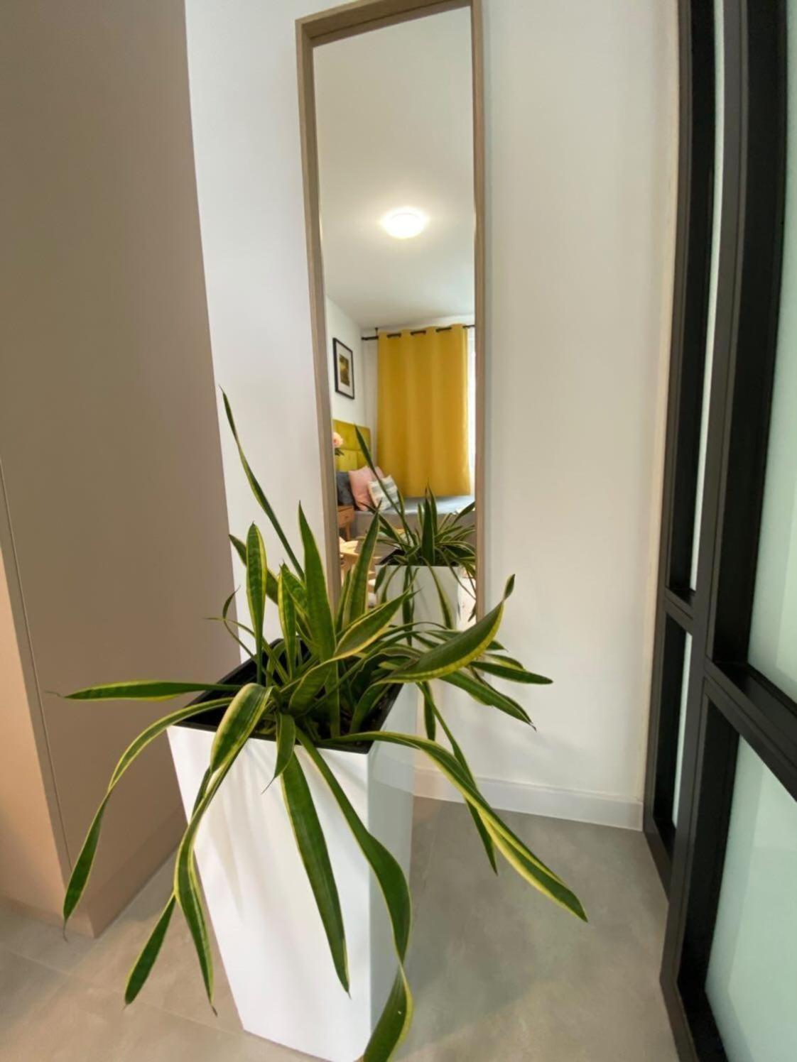 Apartament AMARILLO view 2