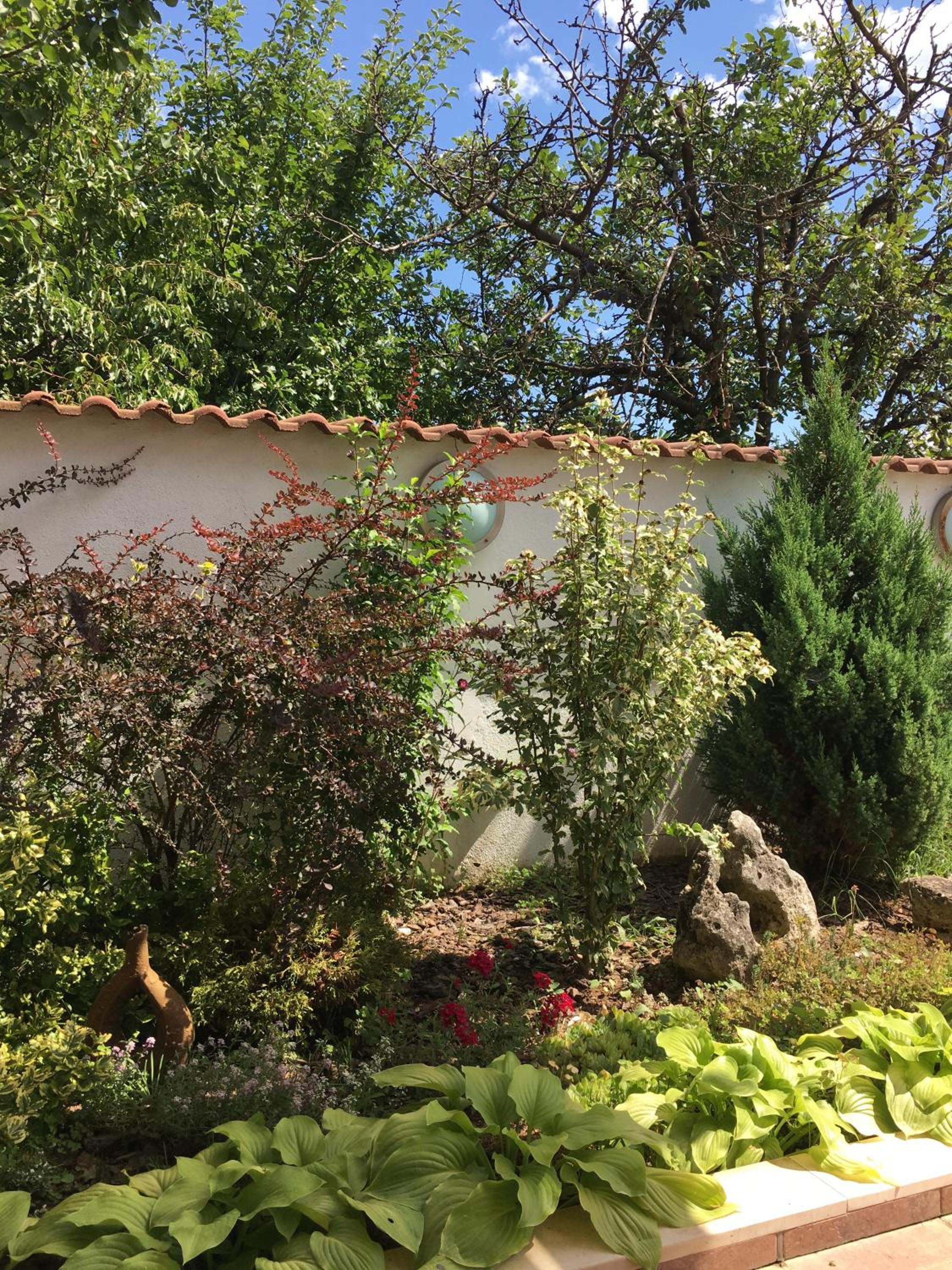 Photo 16