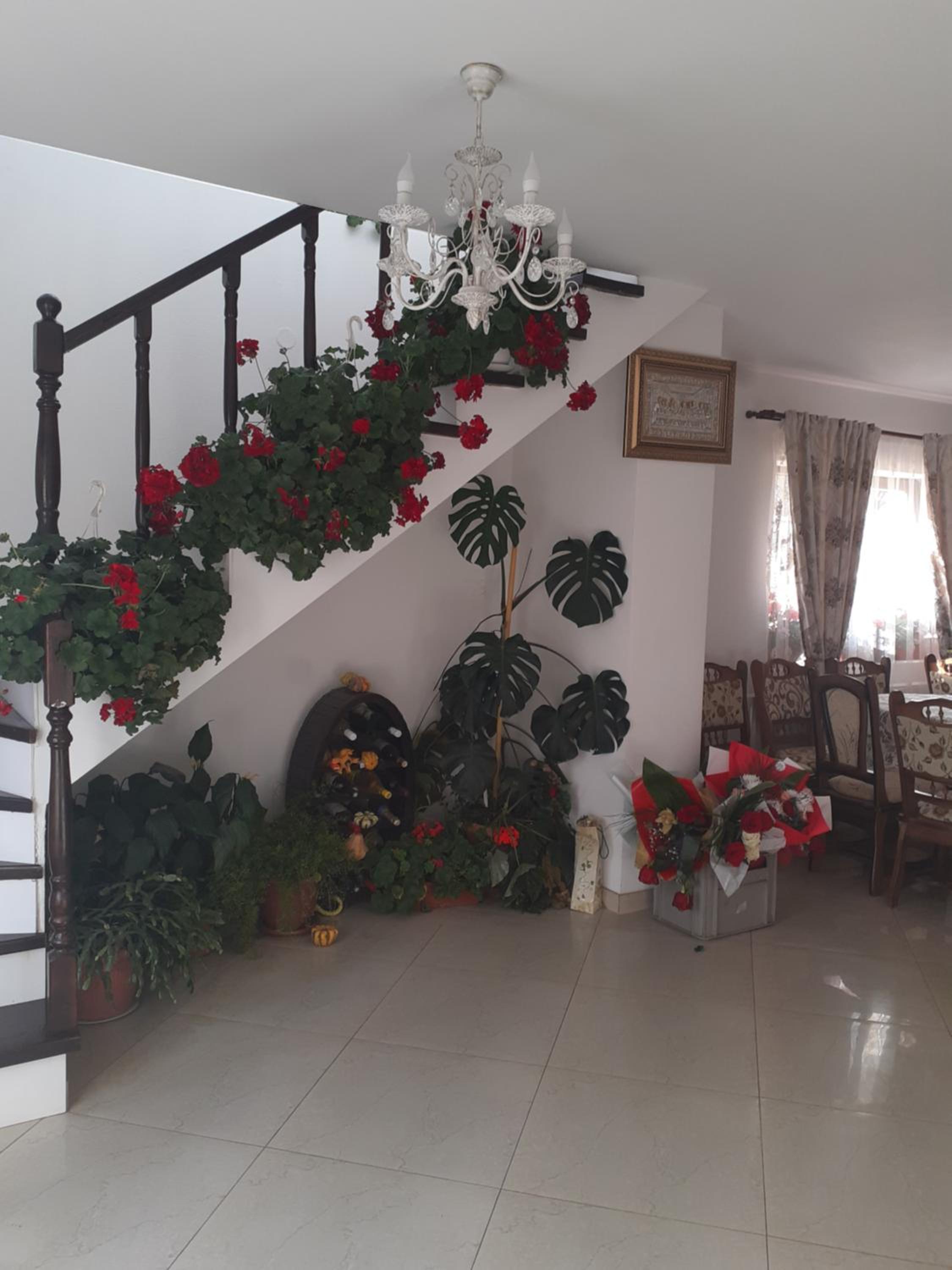 Casa Bozai view 5