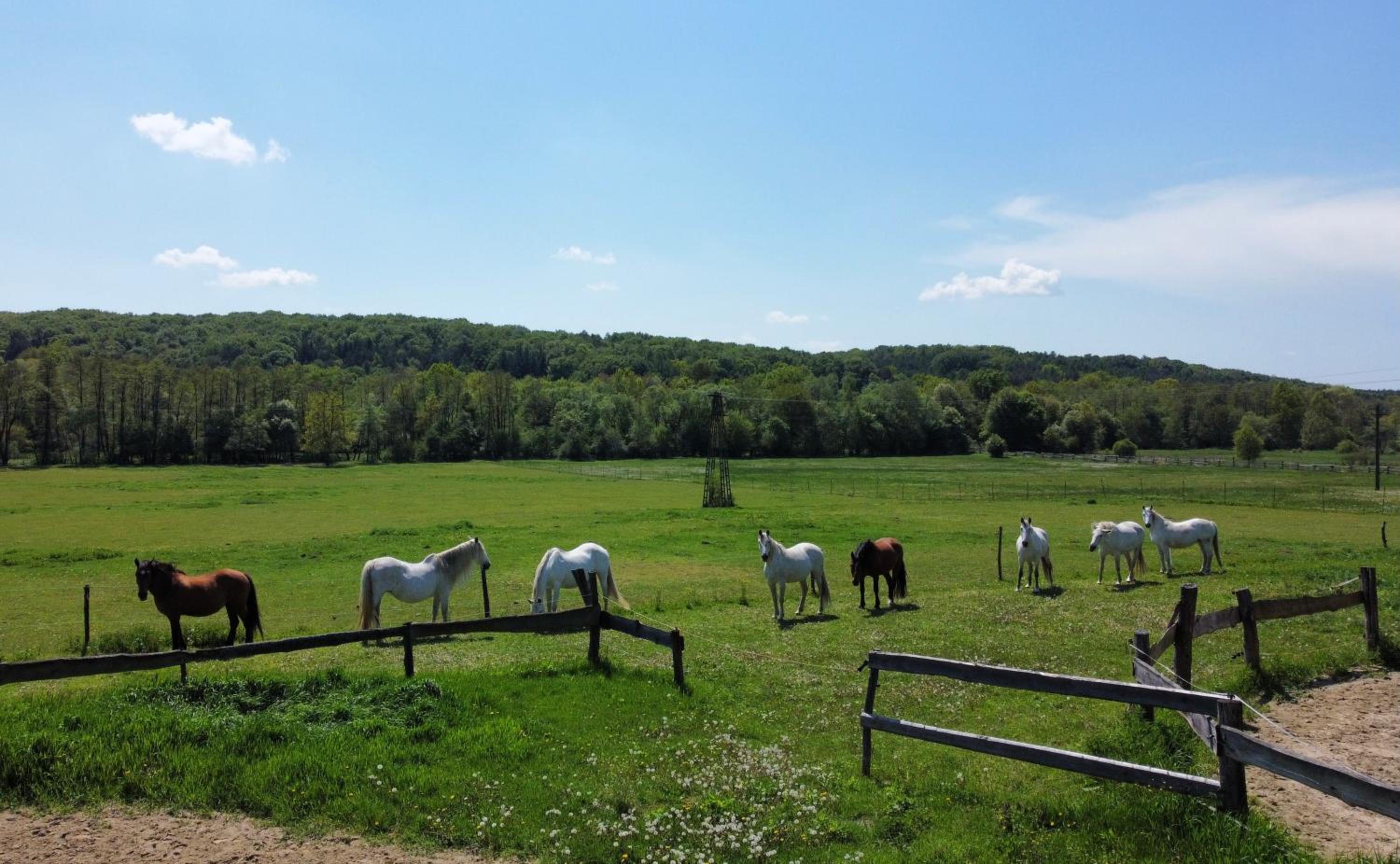 Kerca Bio Farm