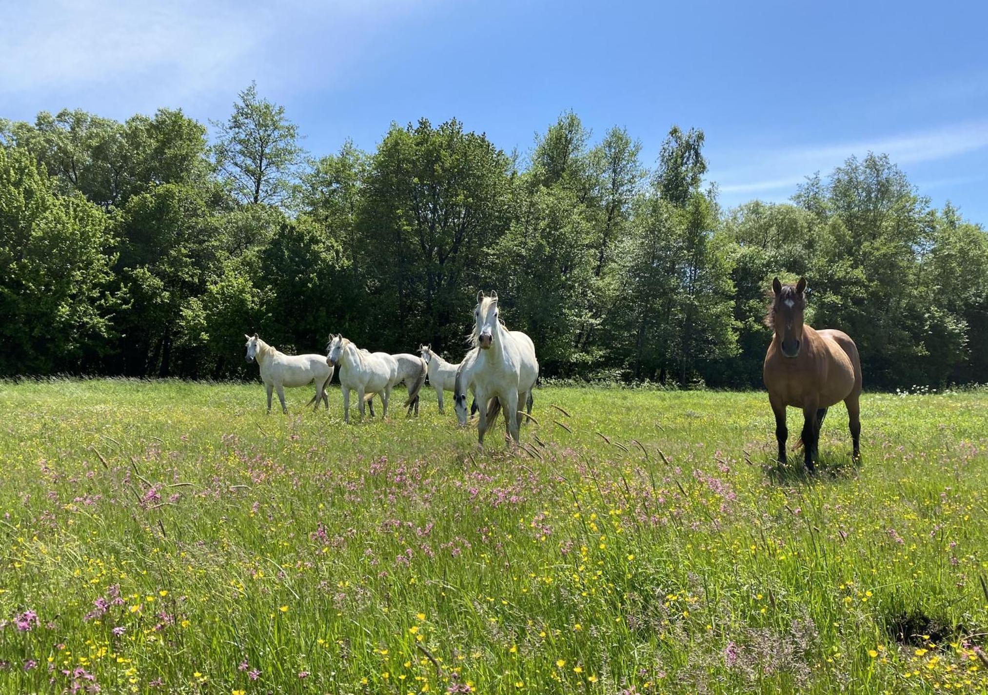 Kerca Bio Farm