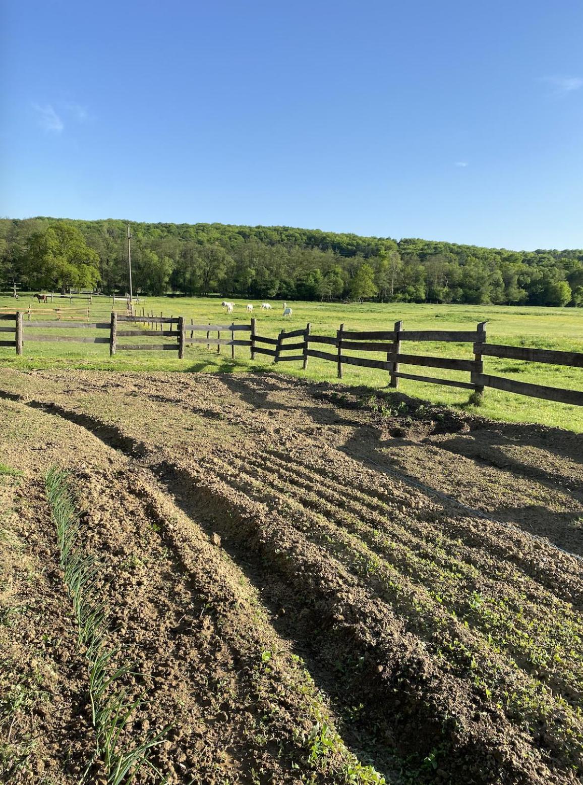 Kerca Bio Farm