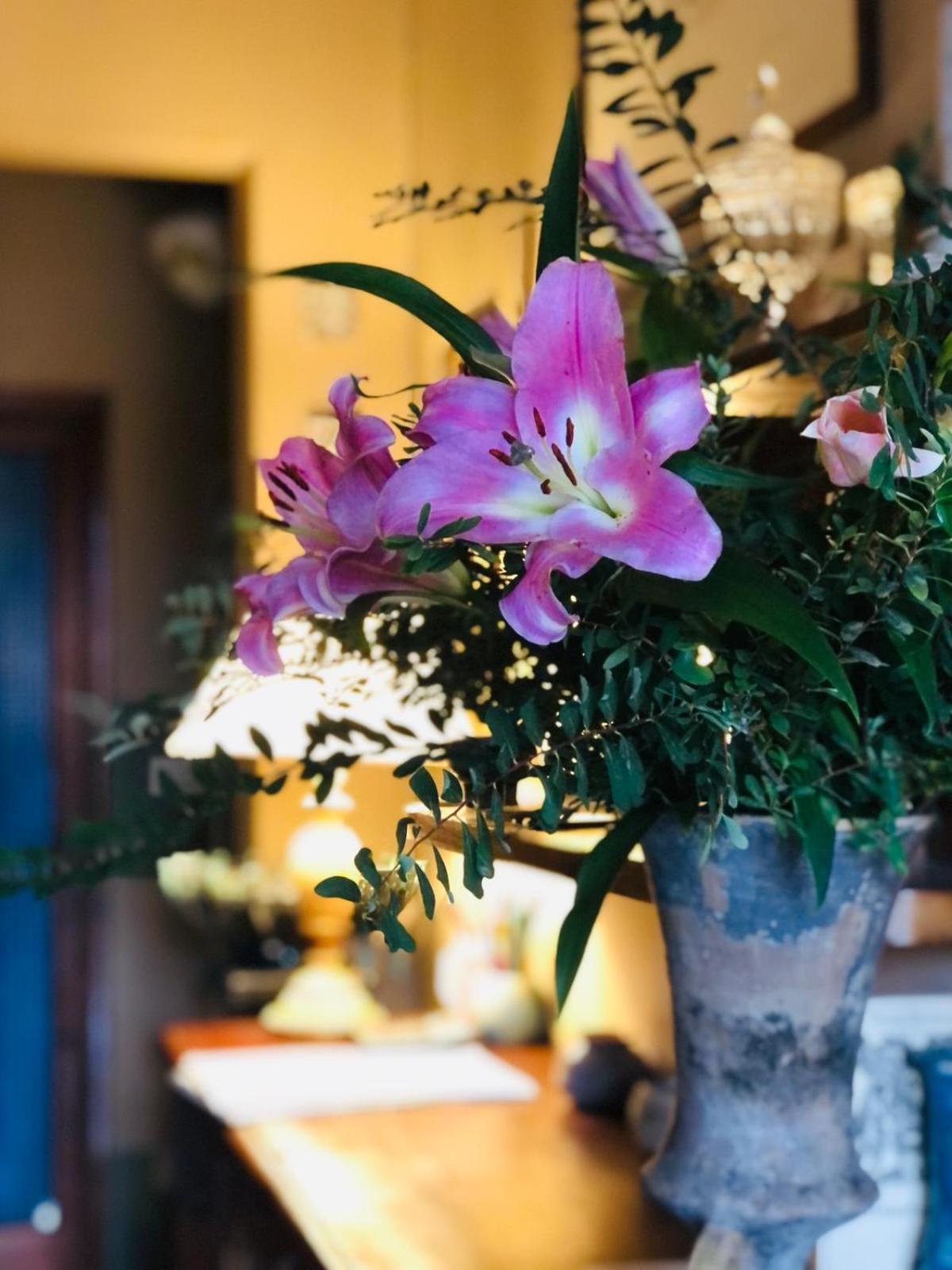 Casa Cambini, photo 29