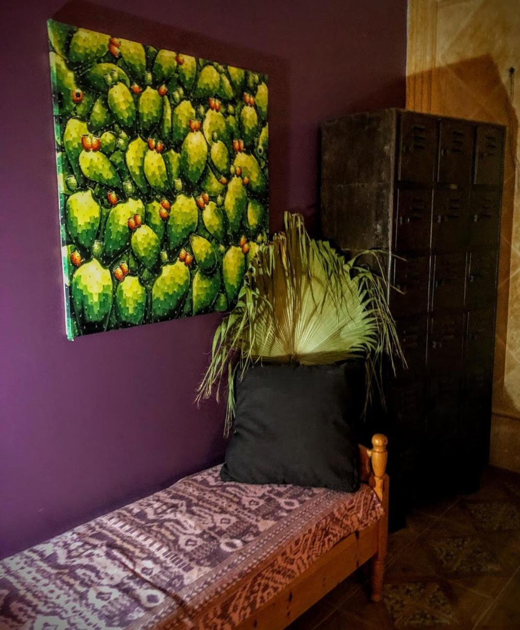 HIGOS CHUMBOS, CASA RURAL COMPARTIDO