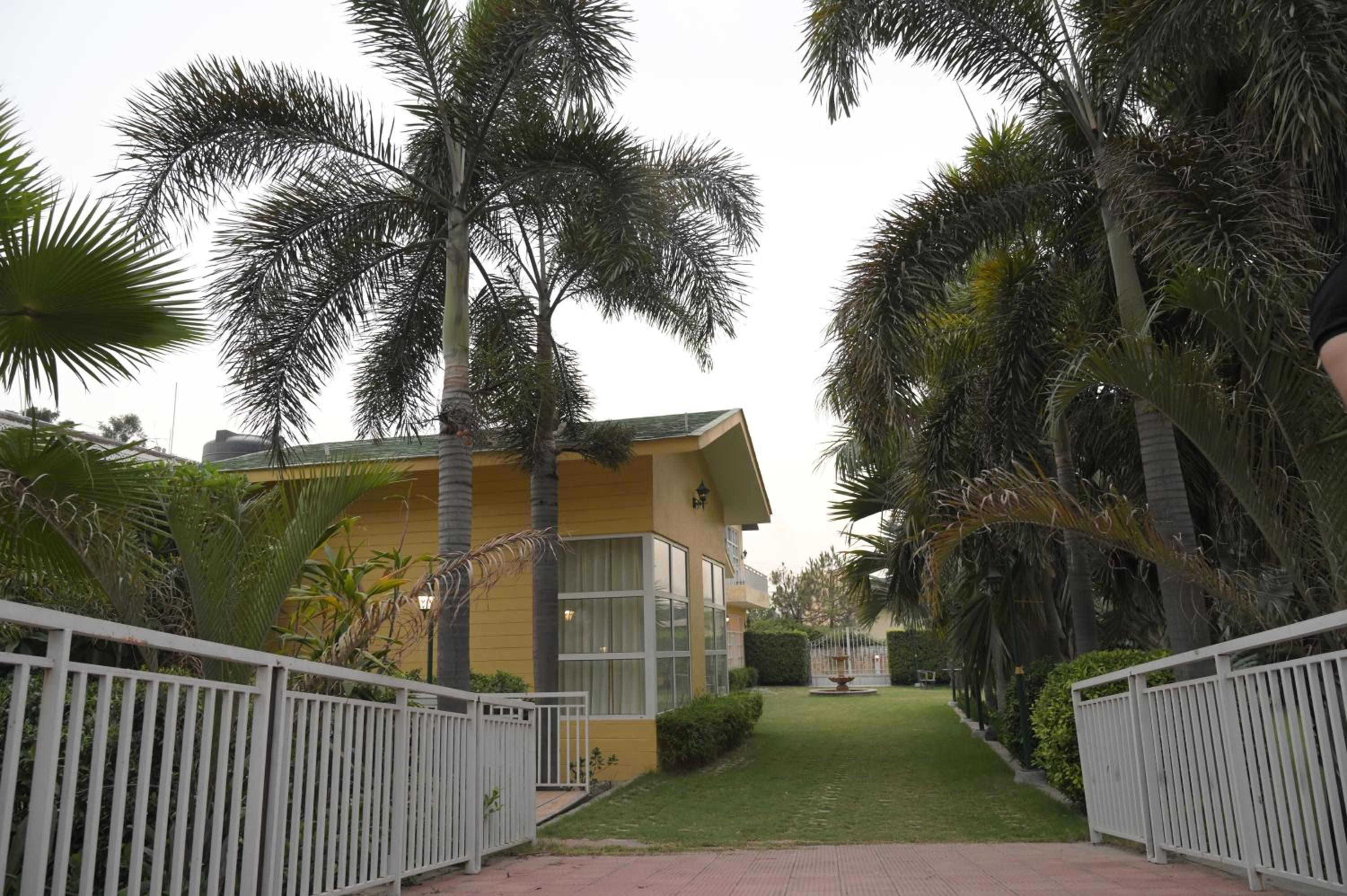 Photo 13