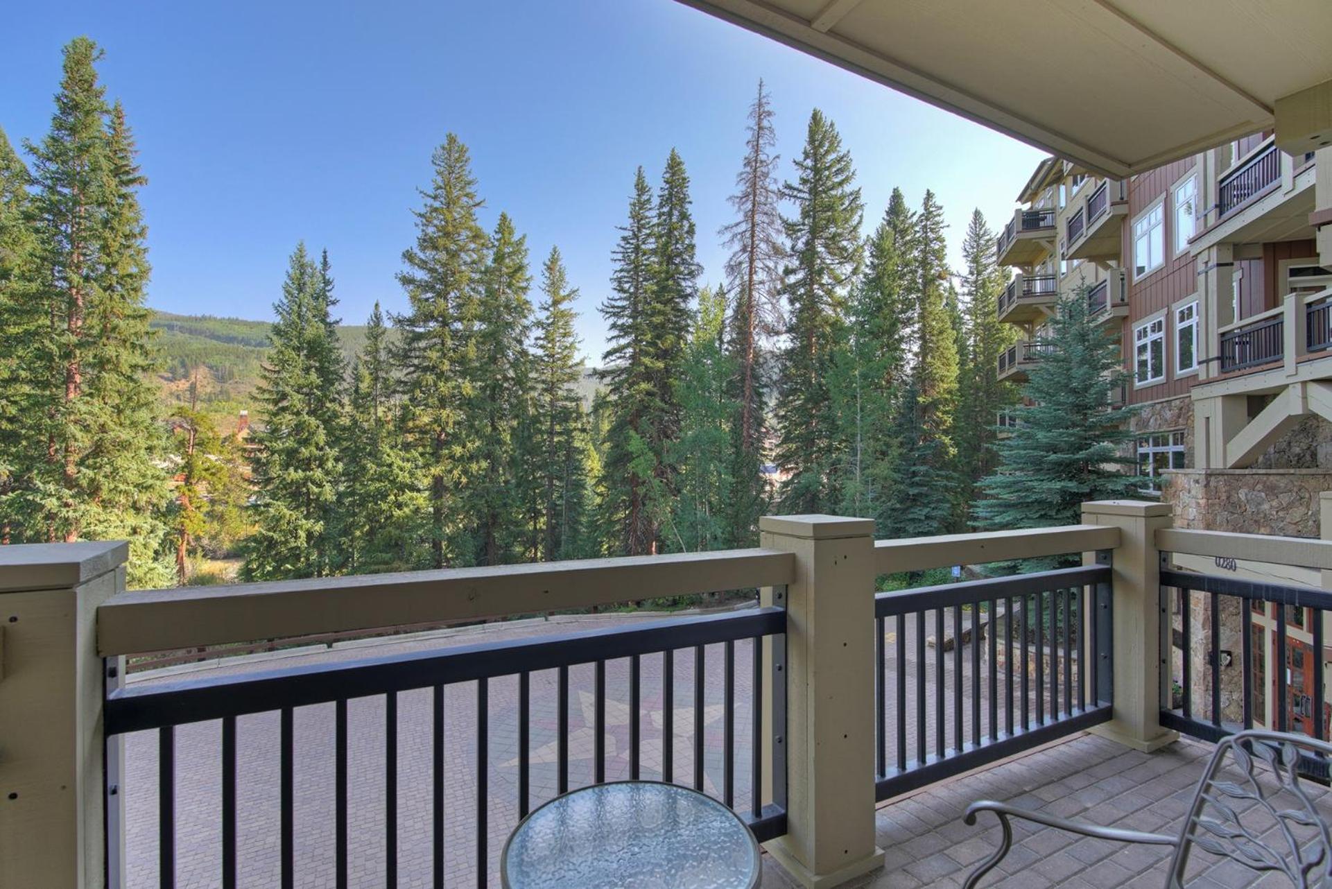 Luxurious 1 BR in River Run Village with Ski in ski out condo view 2