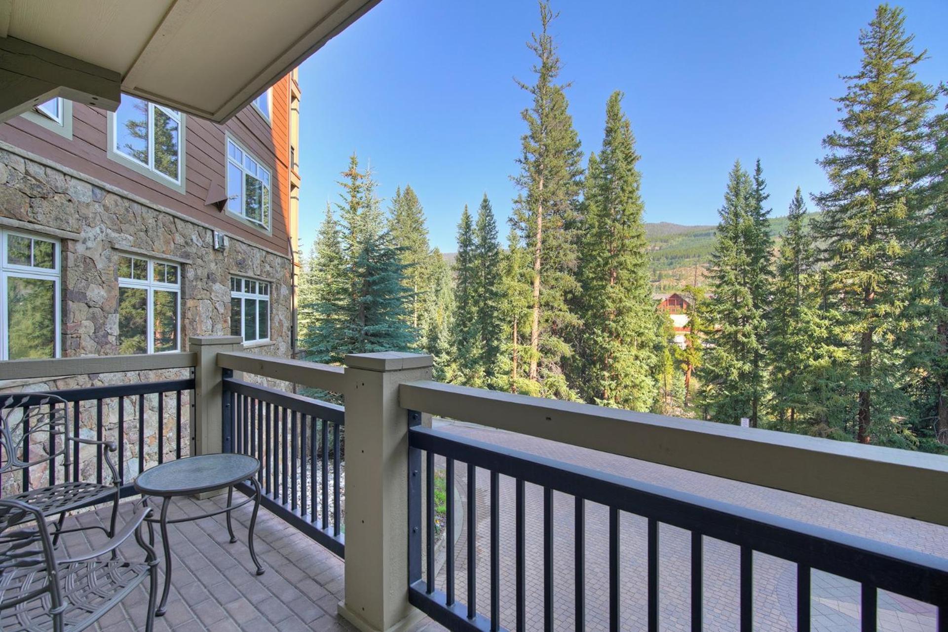 Luxurious 1 BR in River Run Village with Ski in ski out condo view 3