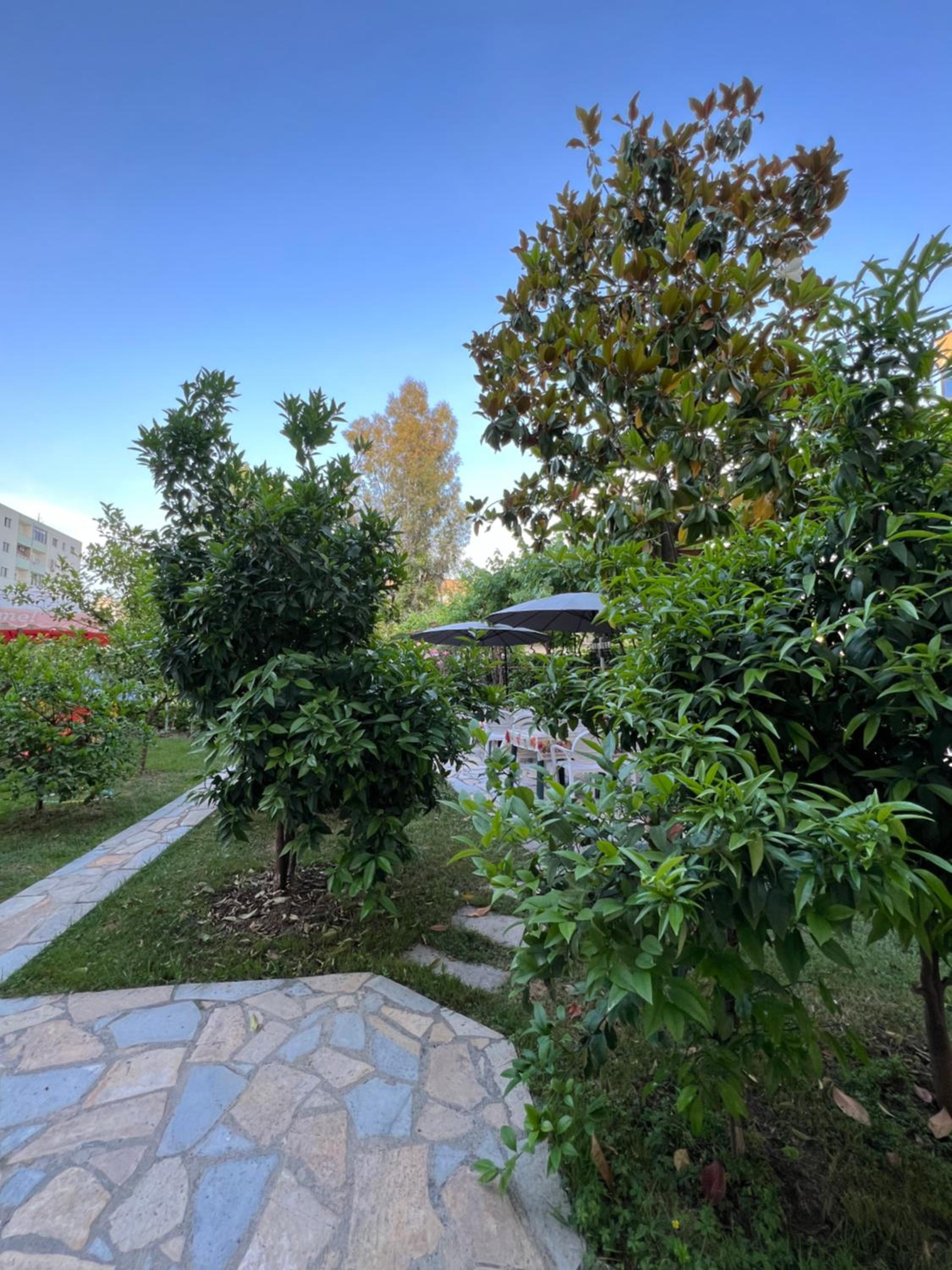 Red Rose Guest House