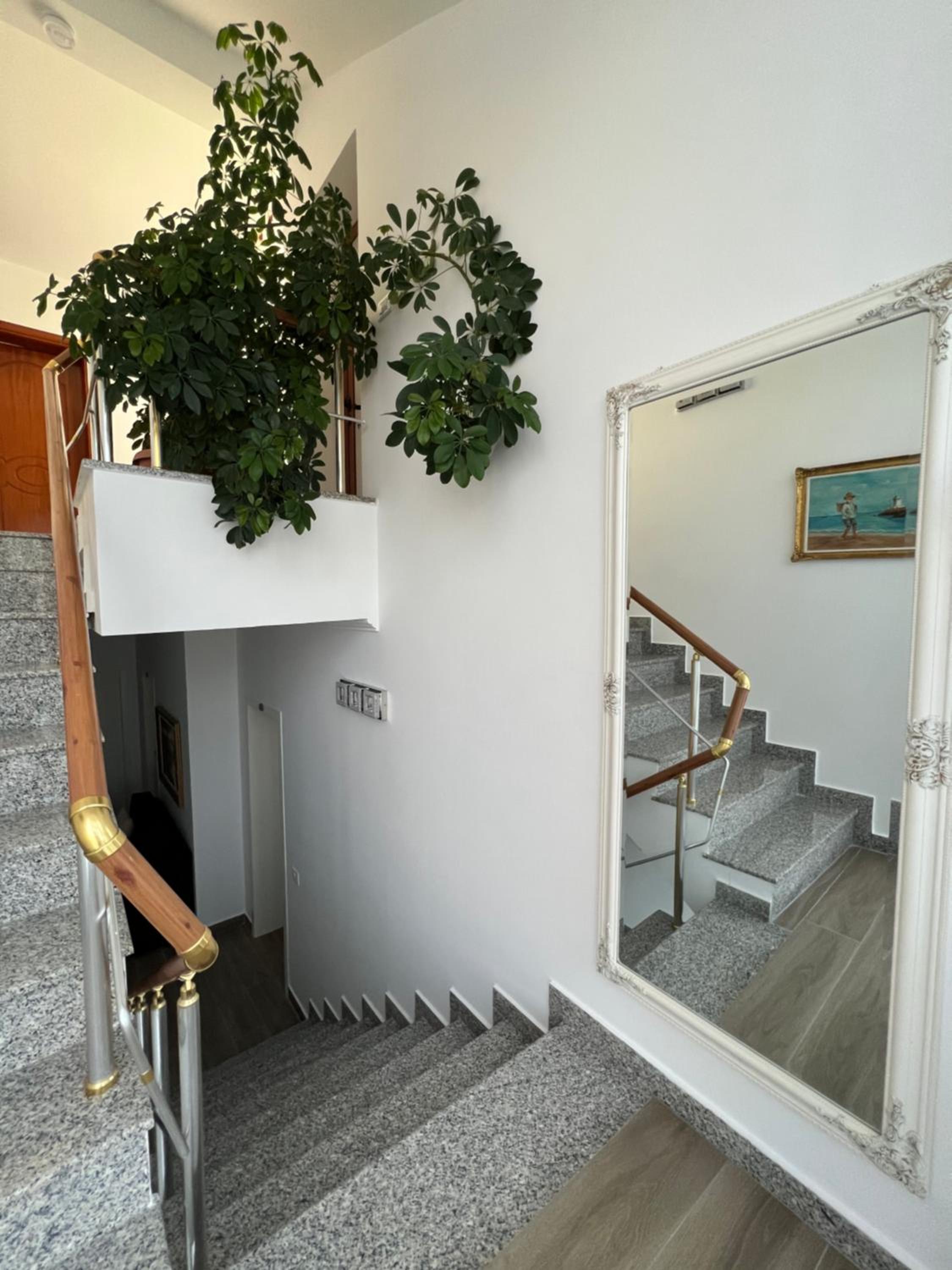Red Rose Guest House