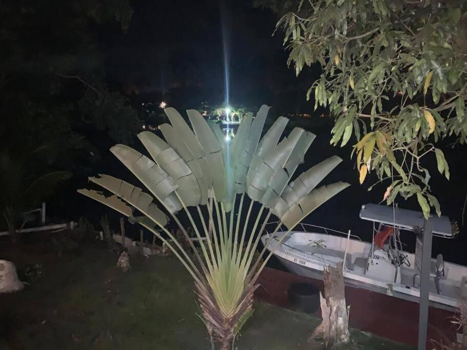 River Bend Resort Bze