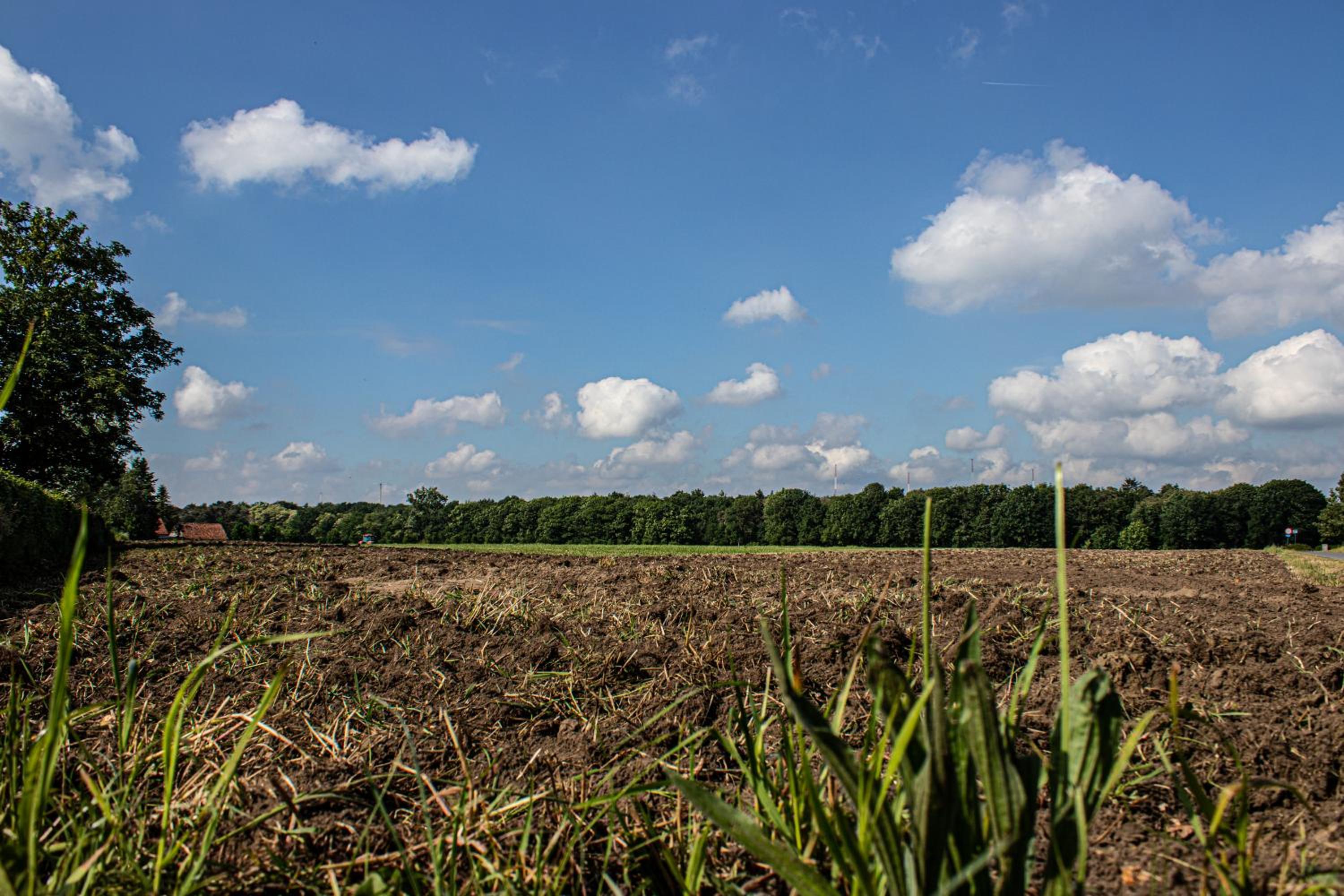 De Lammersdamhoeve