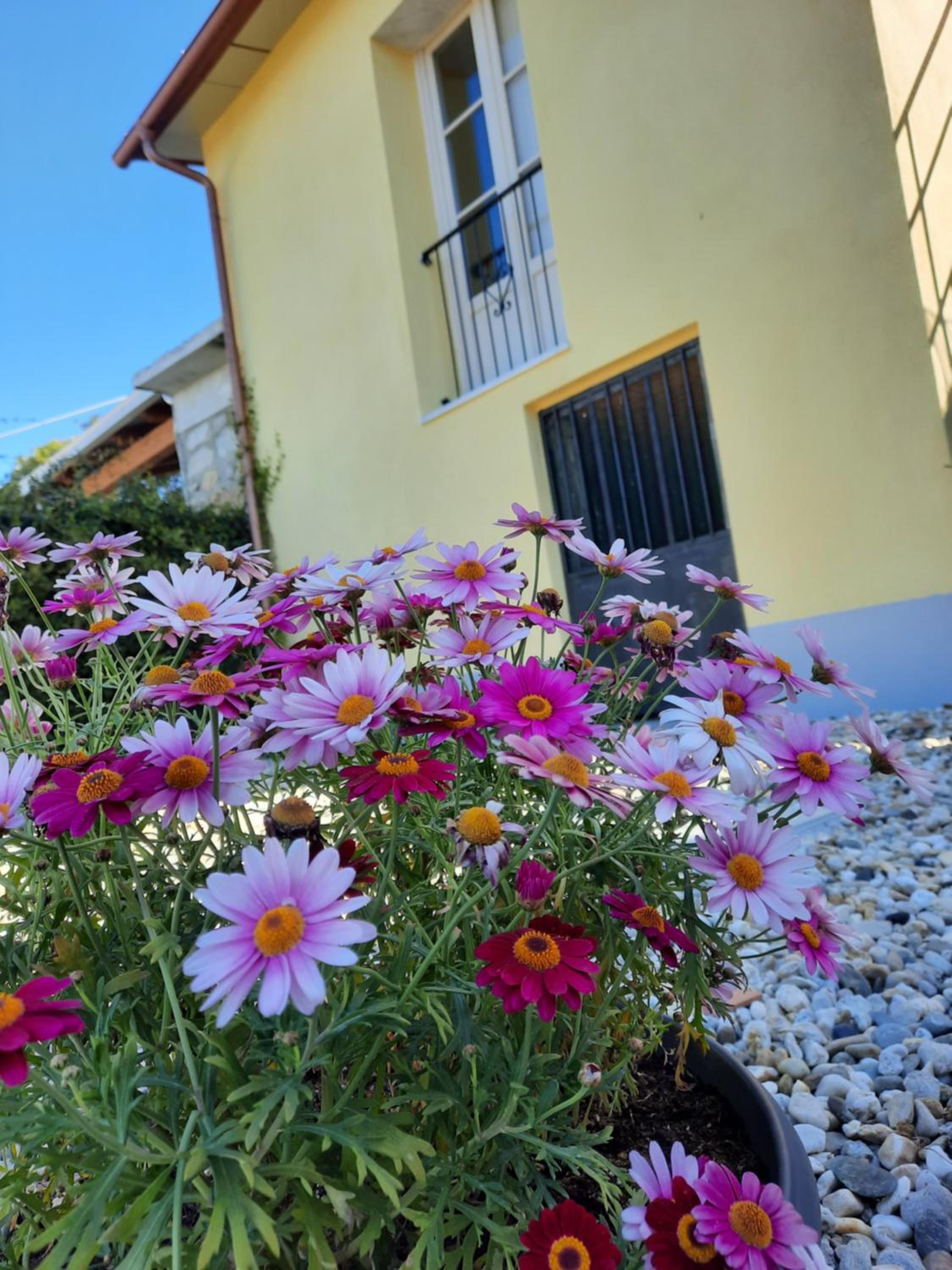 B&B Cà di Bollo