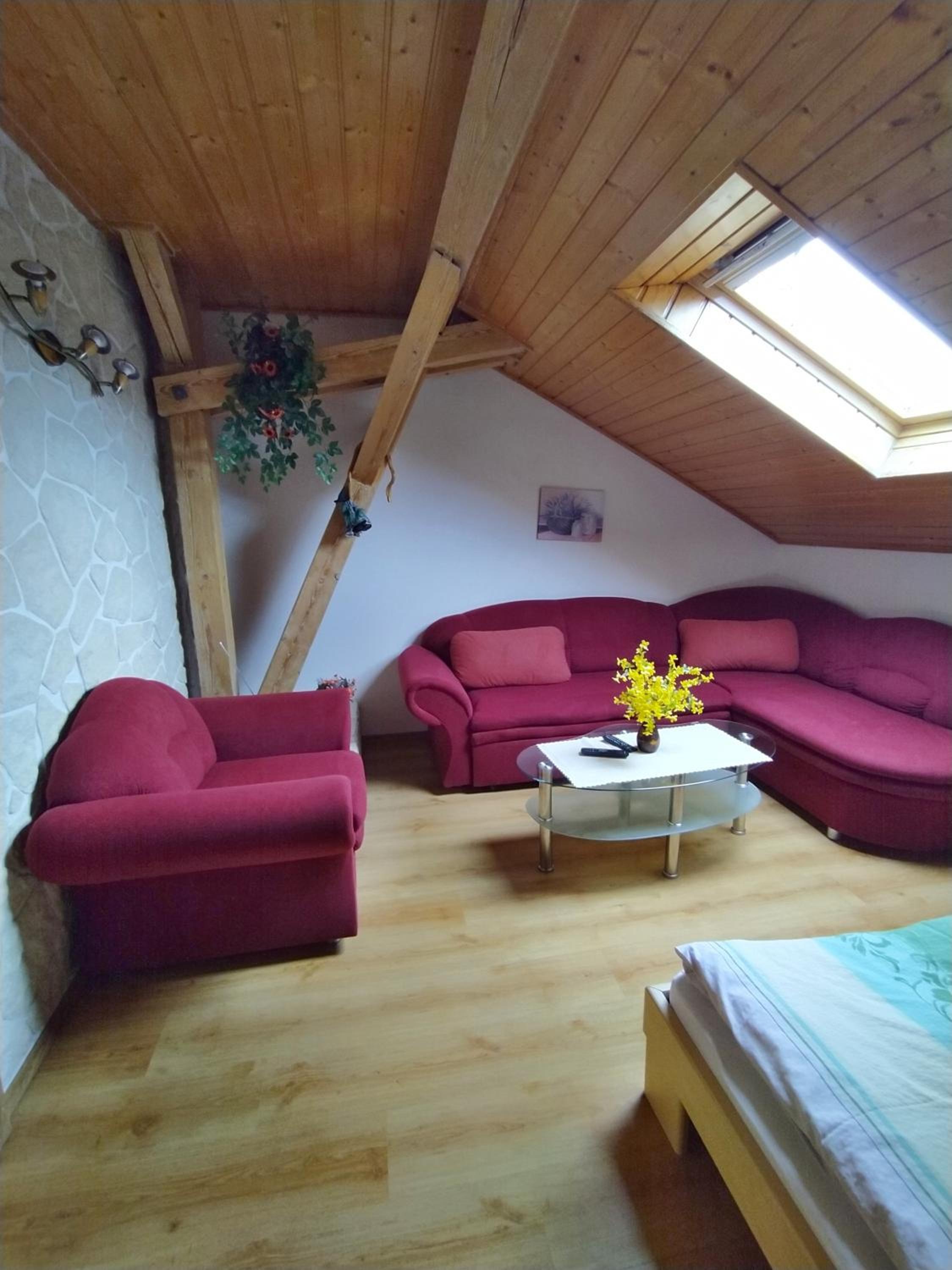 Apartmán v Srní view 4
