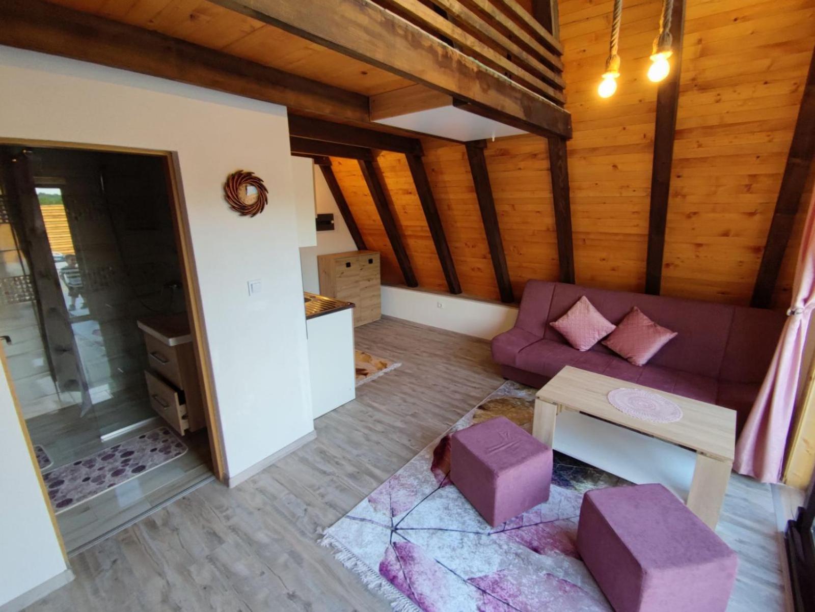 Villa Dream House Bihac