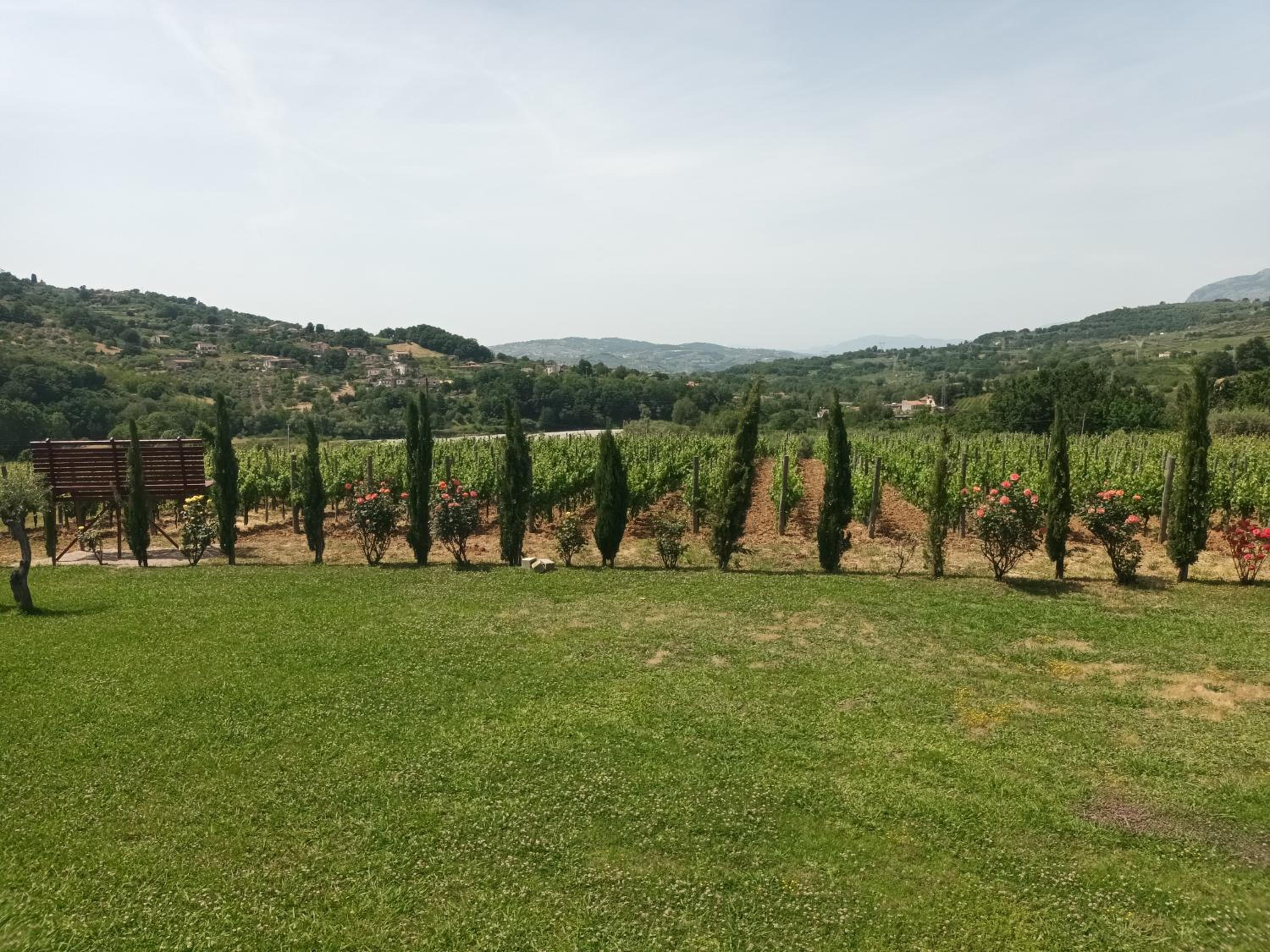 TENUTA TOSI view 3