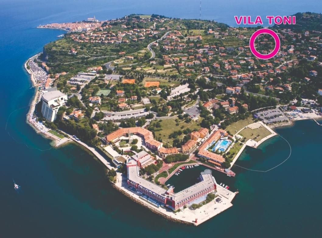Apartments Vila Toni view 2