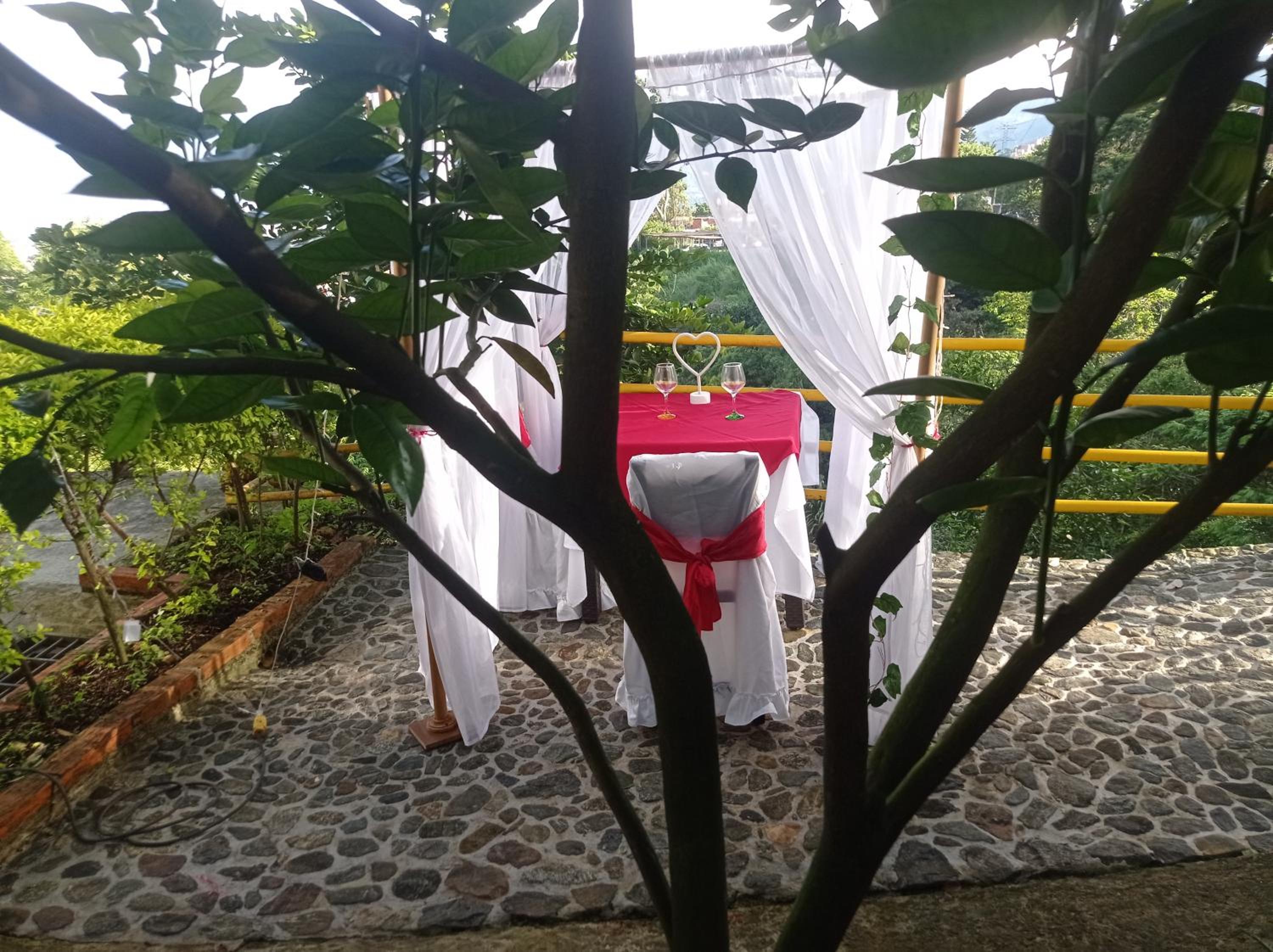 Photo 17