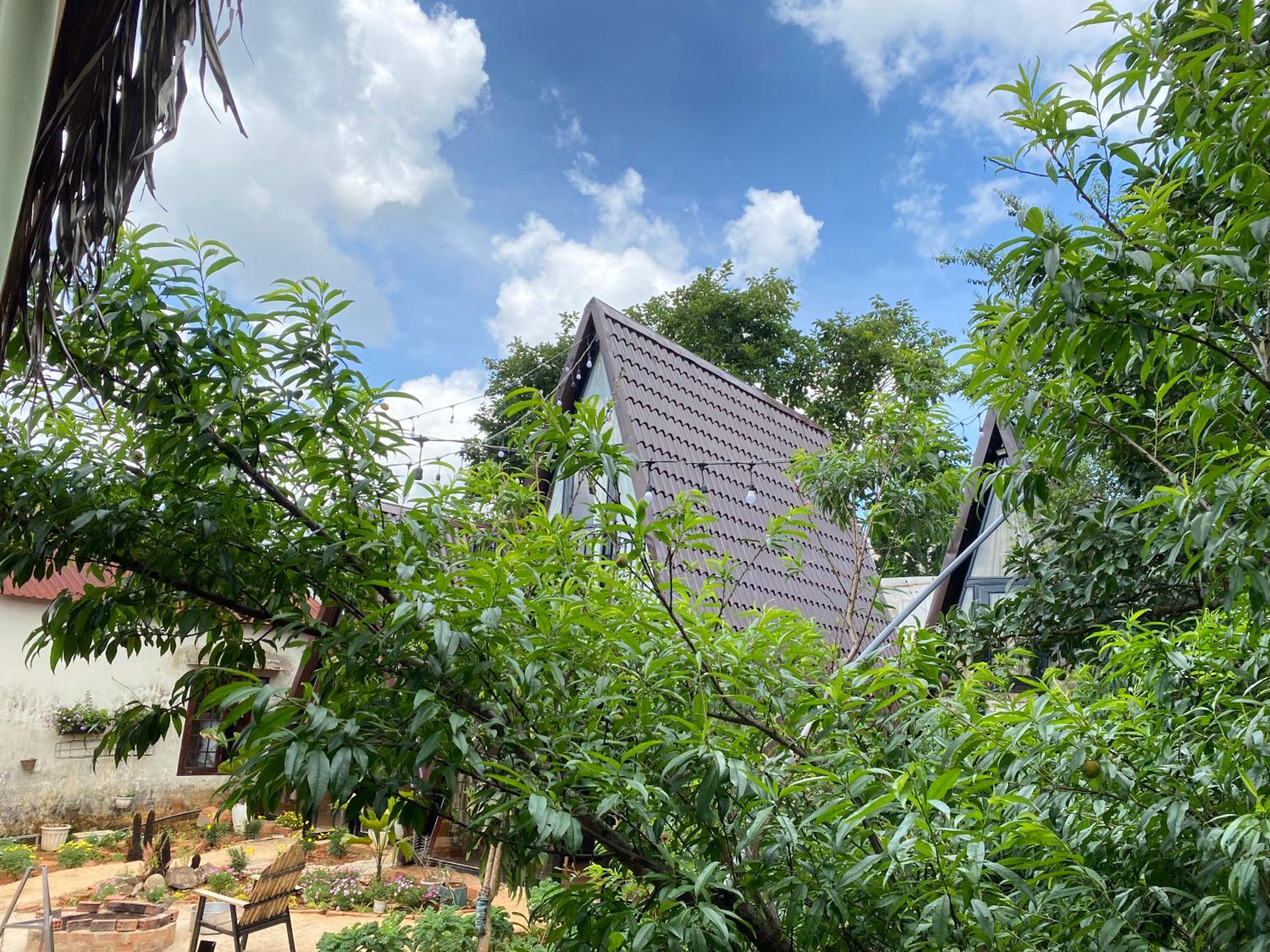 Đà Lạt Củi Homestay