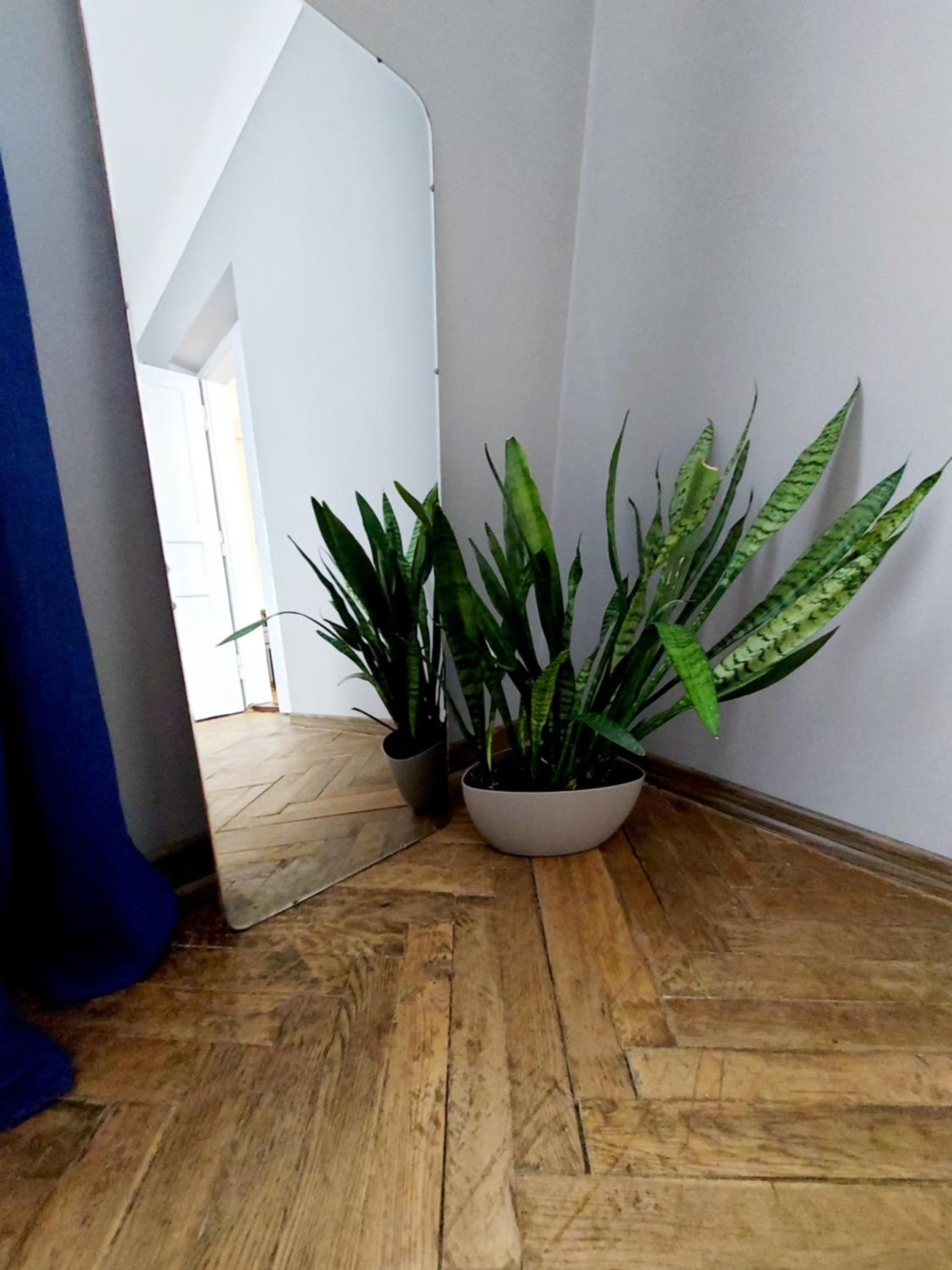 Apartments by PA view 5