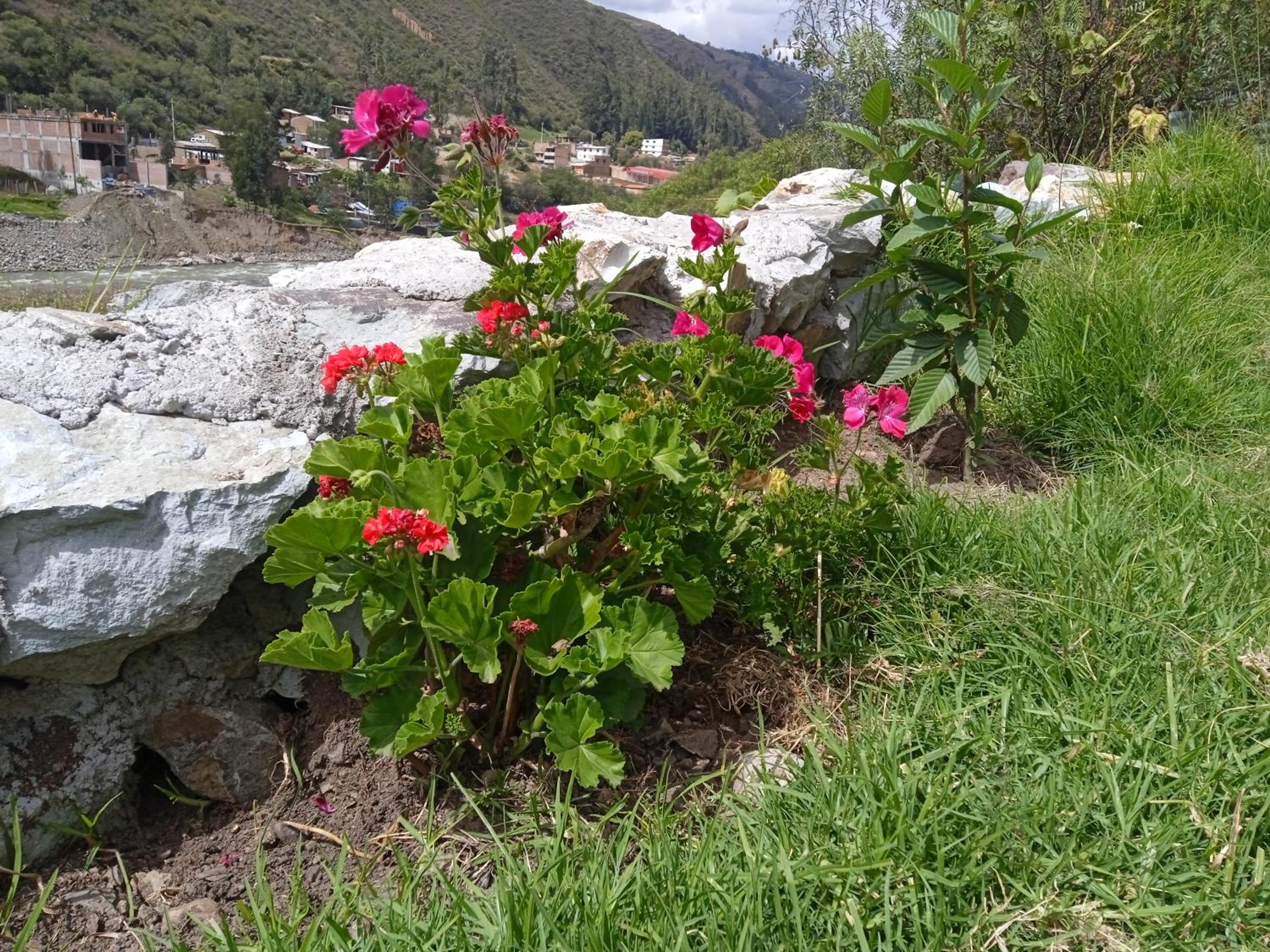 Photo 46