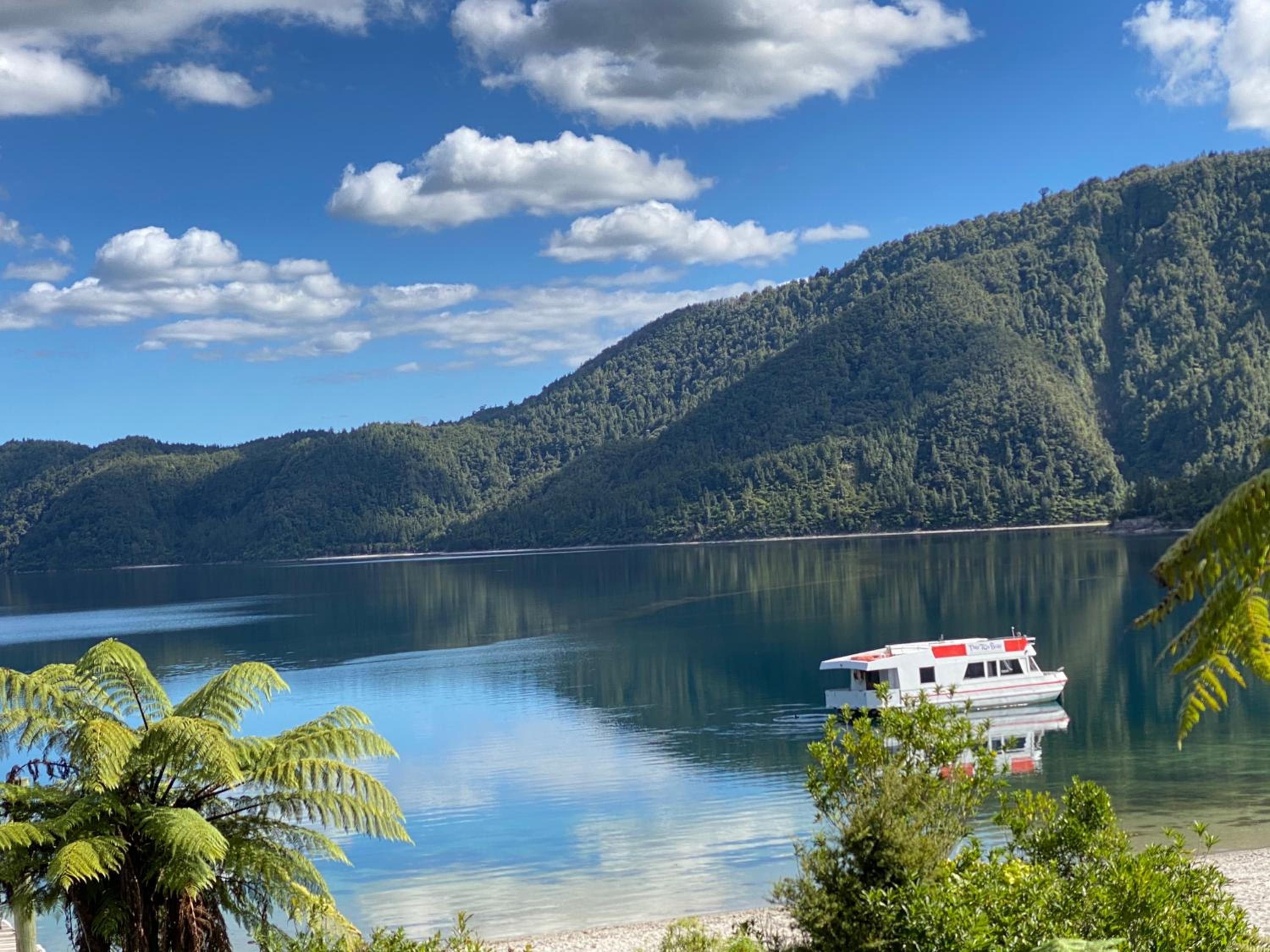 Lakes Lodge Okataina view 5