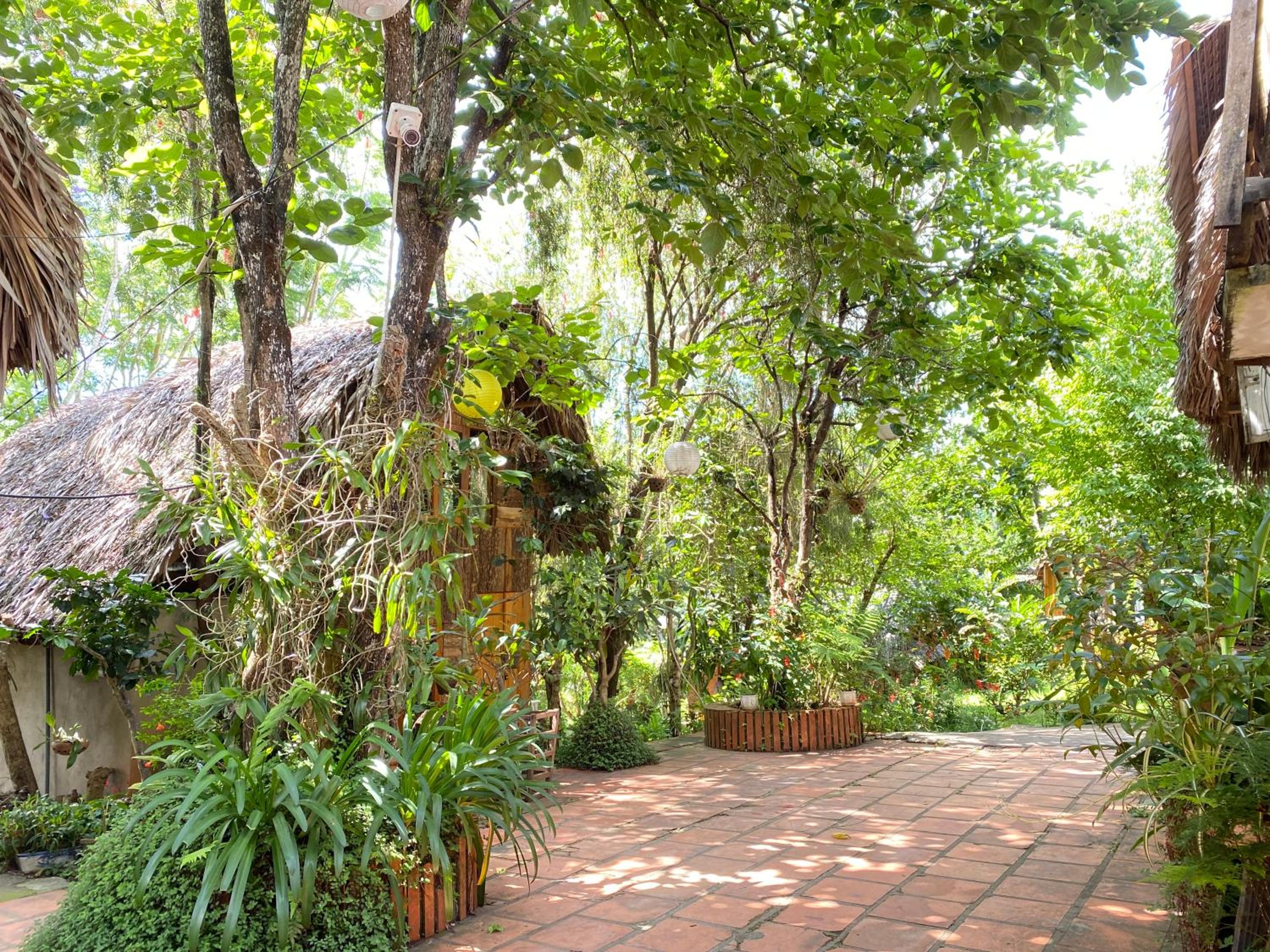 Đà Lạt Củi Homestay