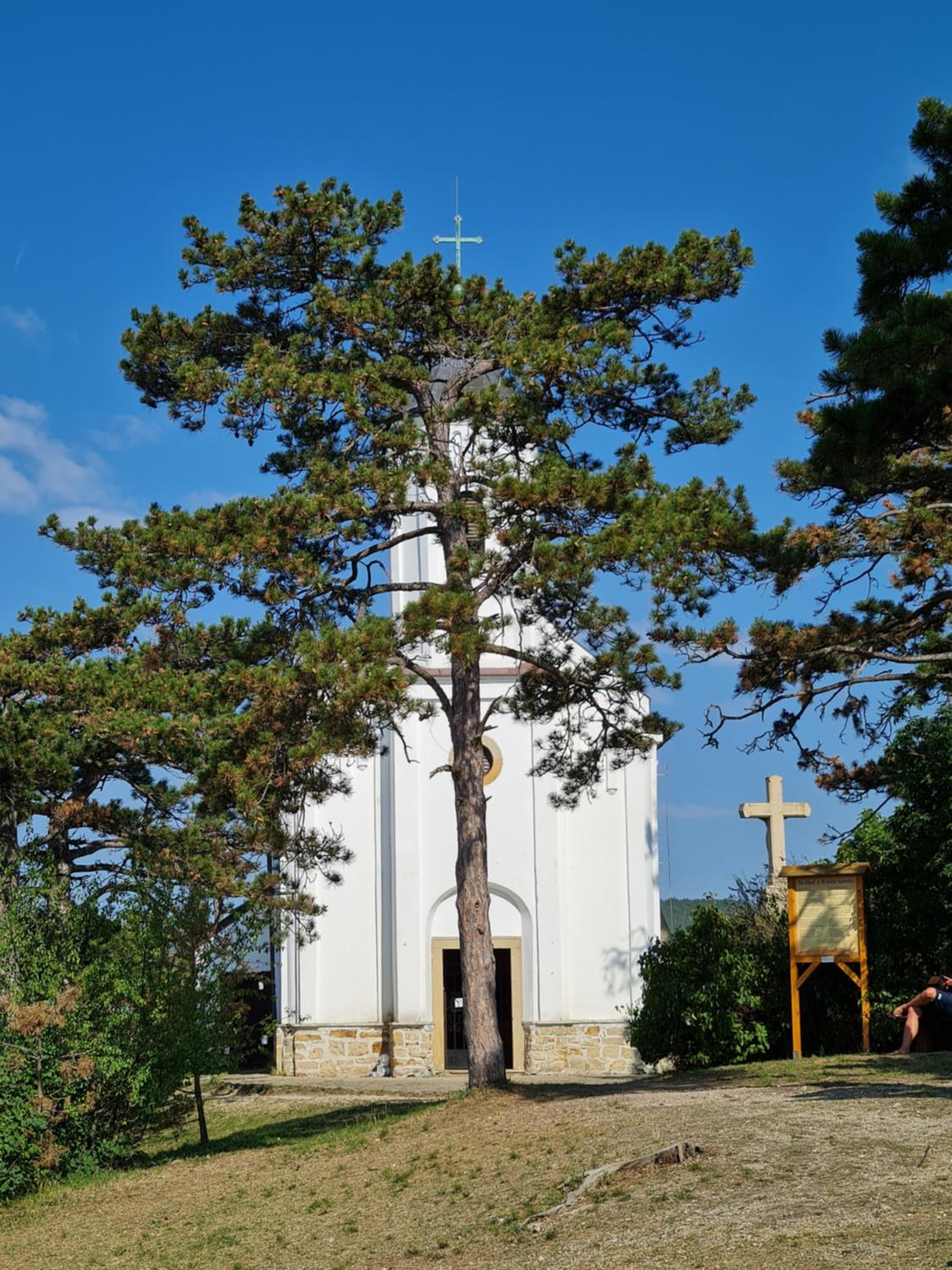Photo 40