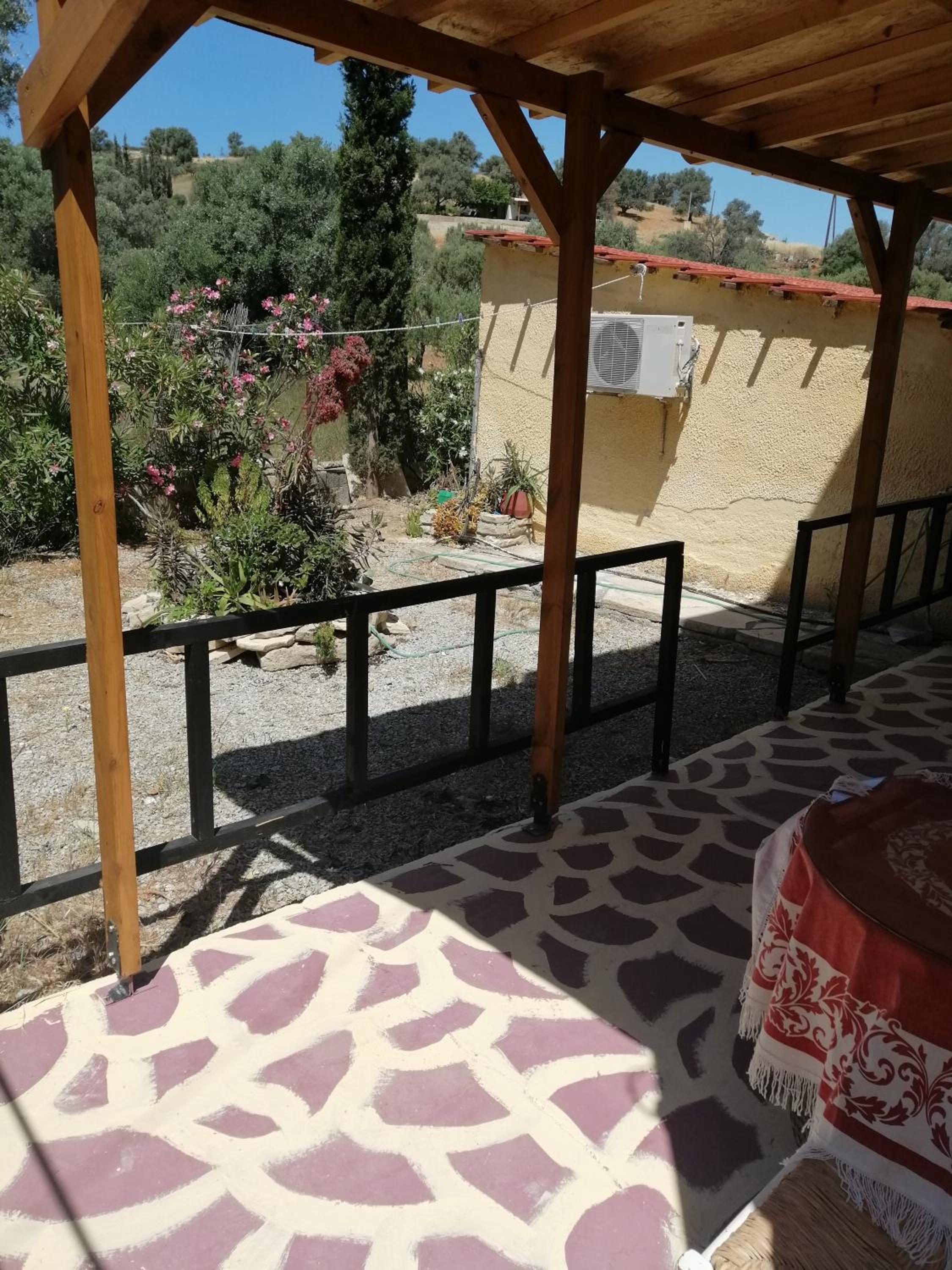 Photo 41